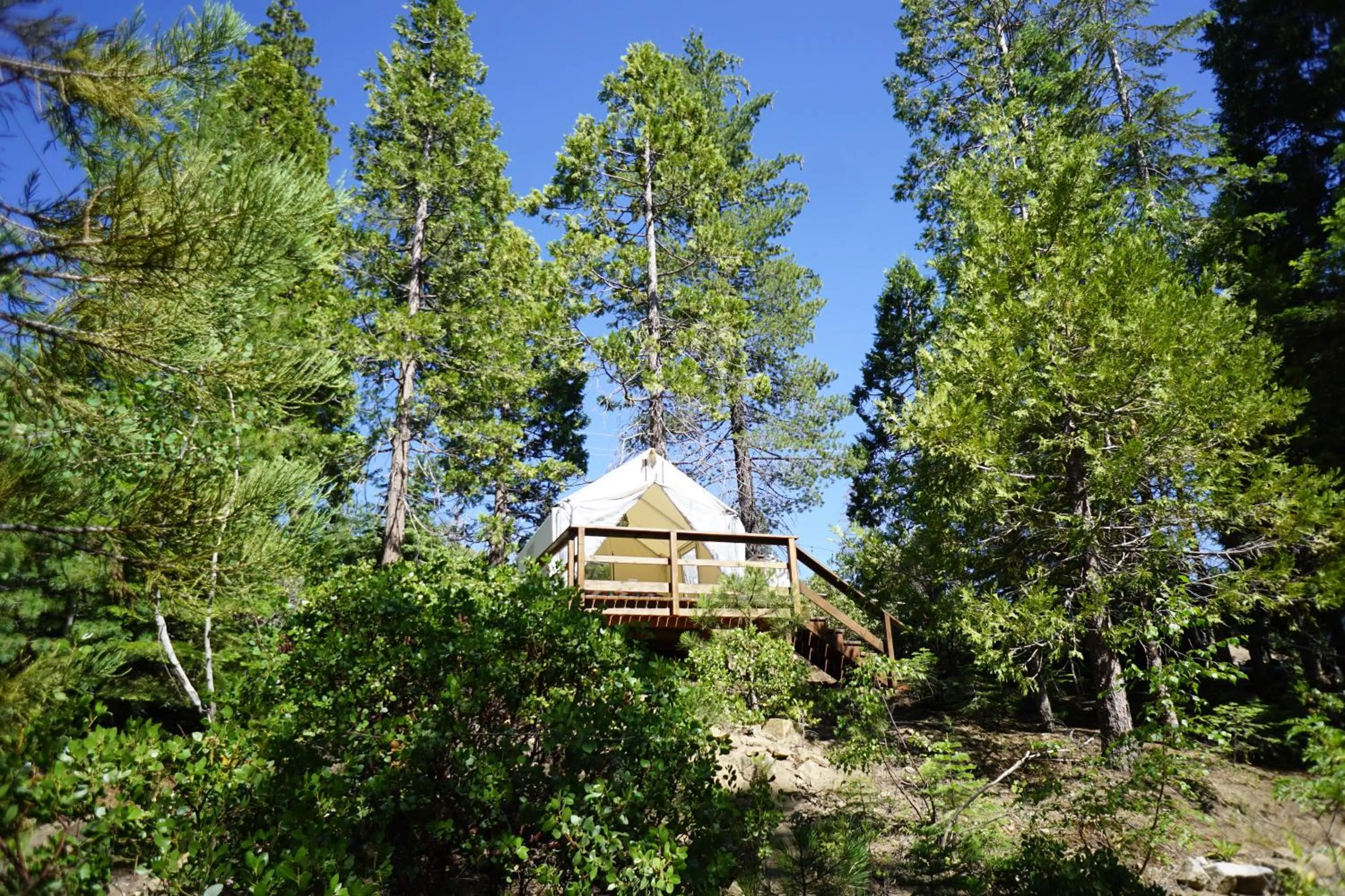 Shaver Lake Village Hotel