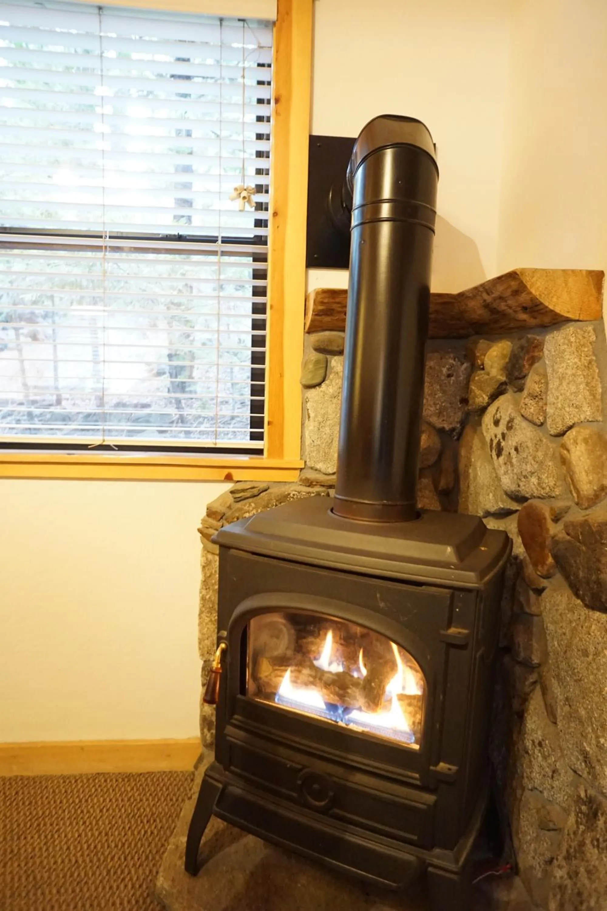 Shaver Lake Village Hotel