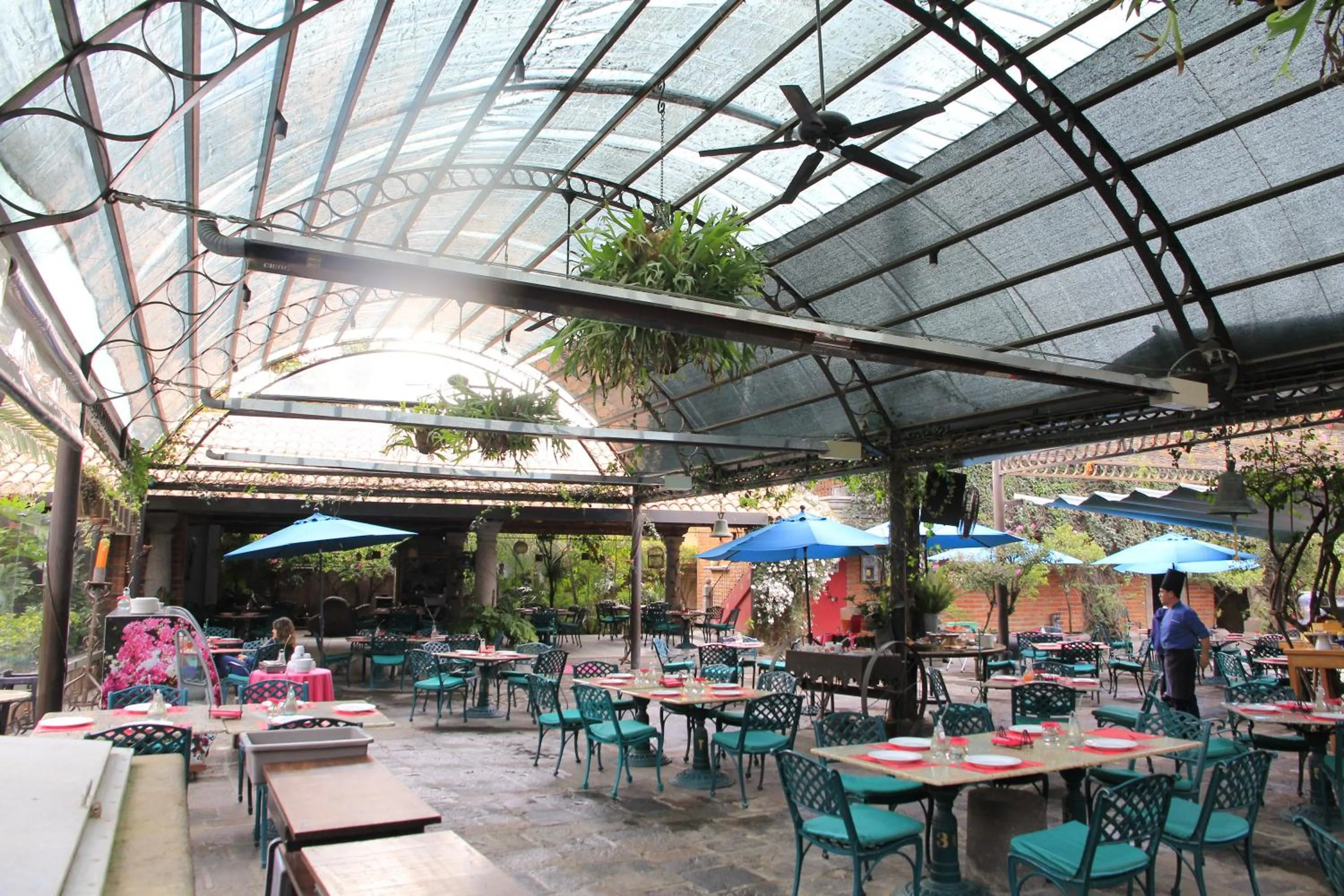 Restaurant/places to eat in Las Calandrias