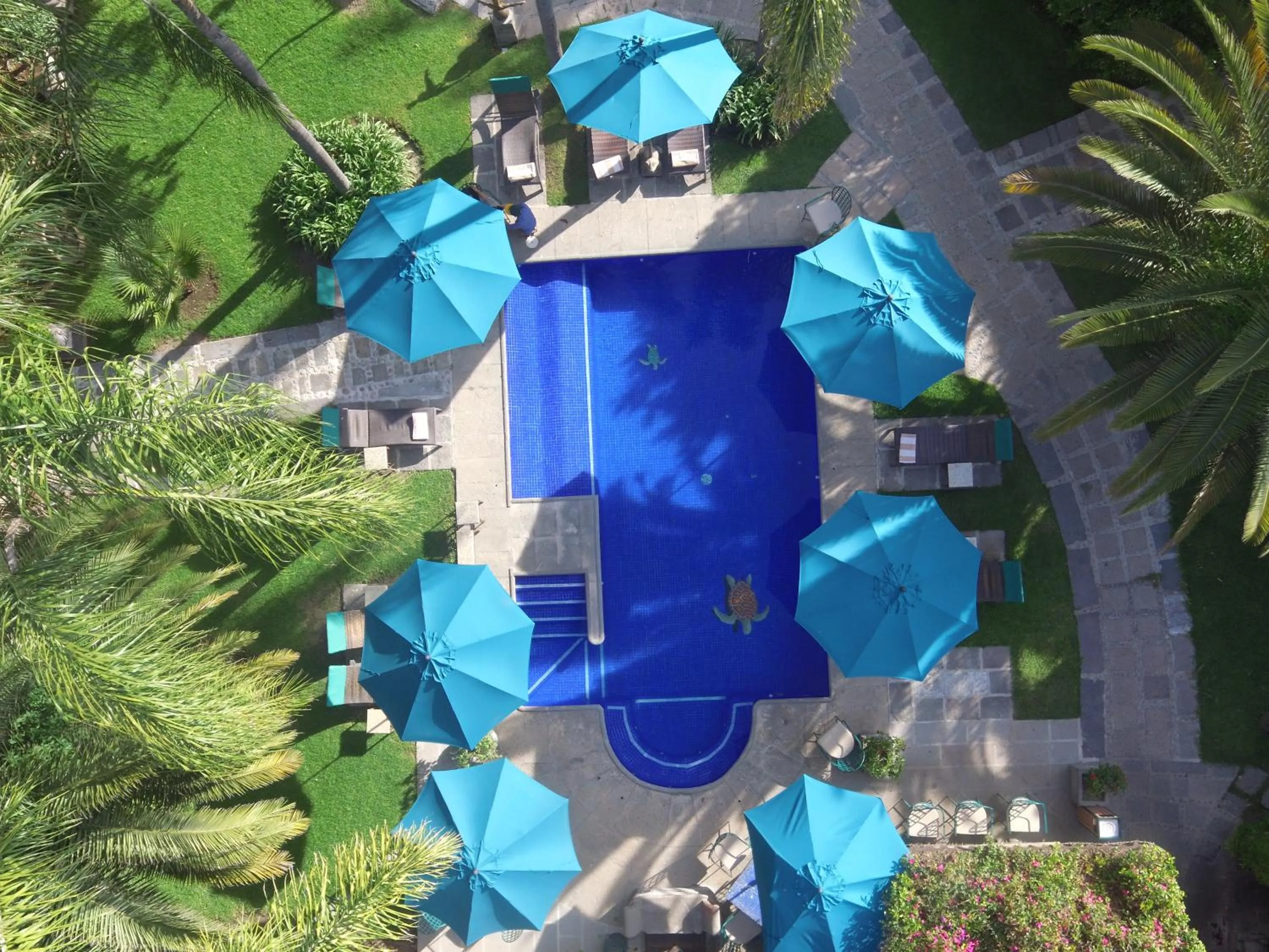 Property building in Las Calandrias