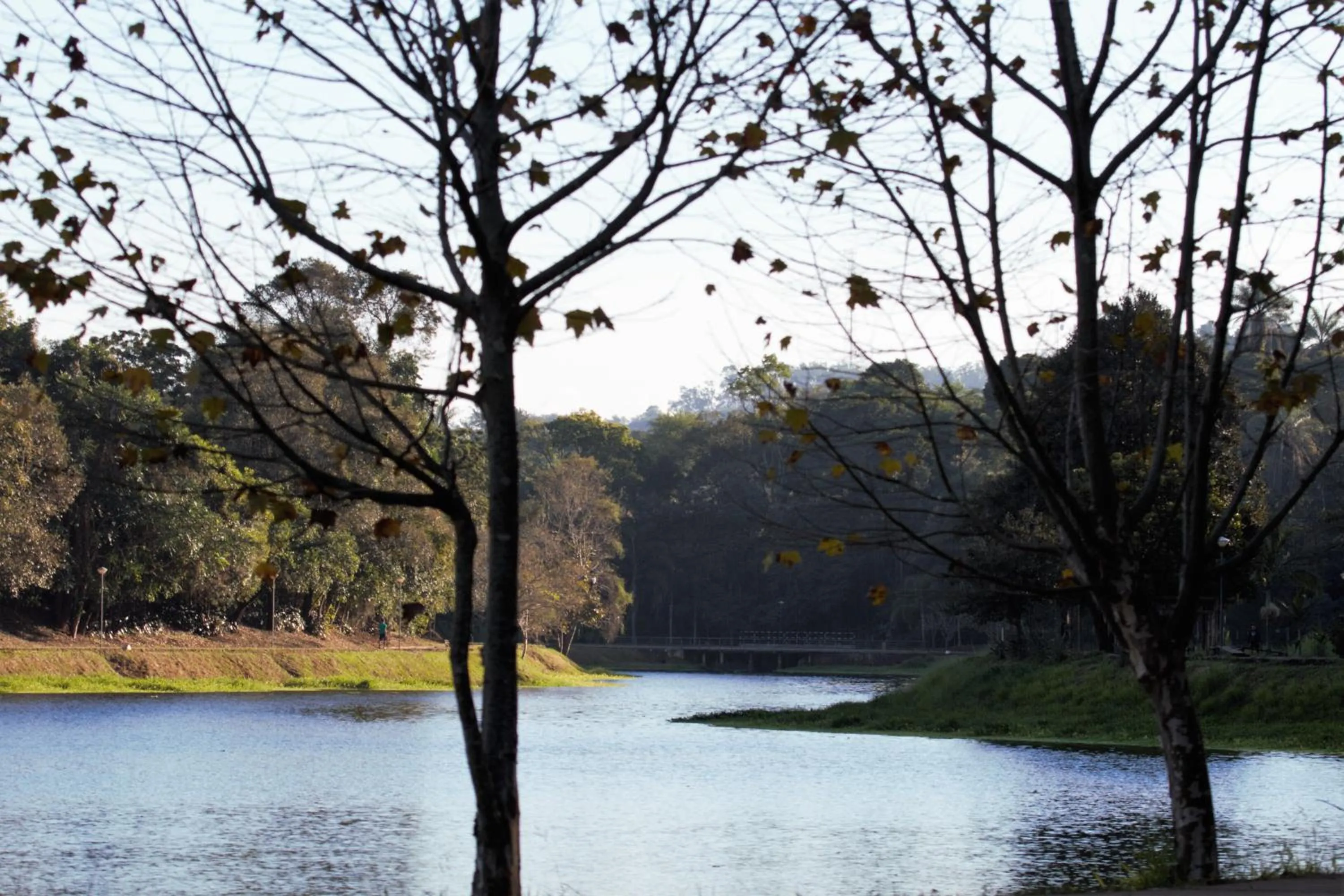 Natural landscape in Chalé Bosque Do Barreiro