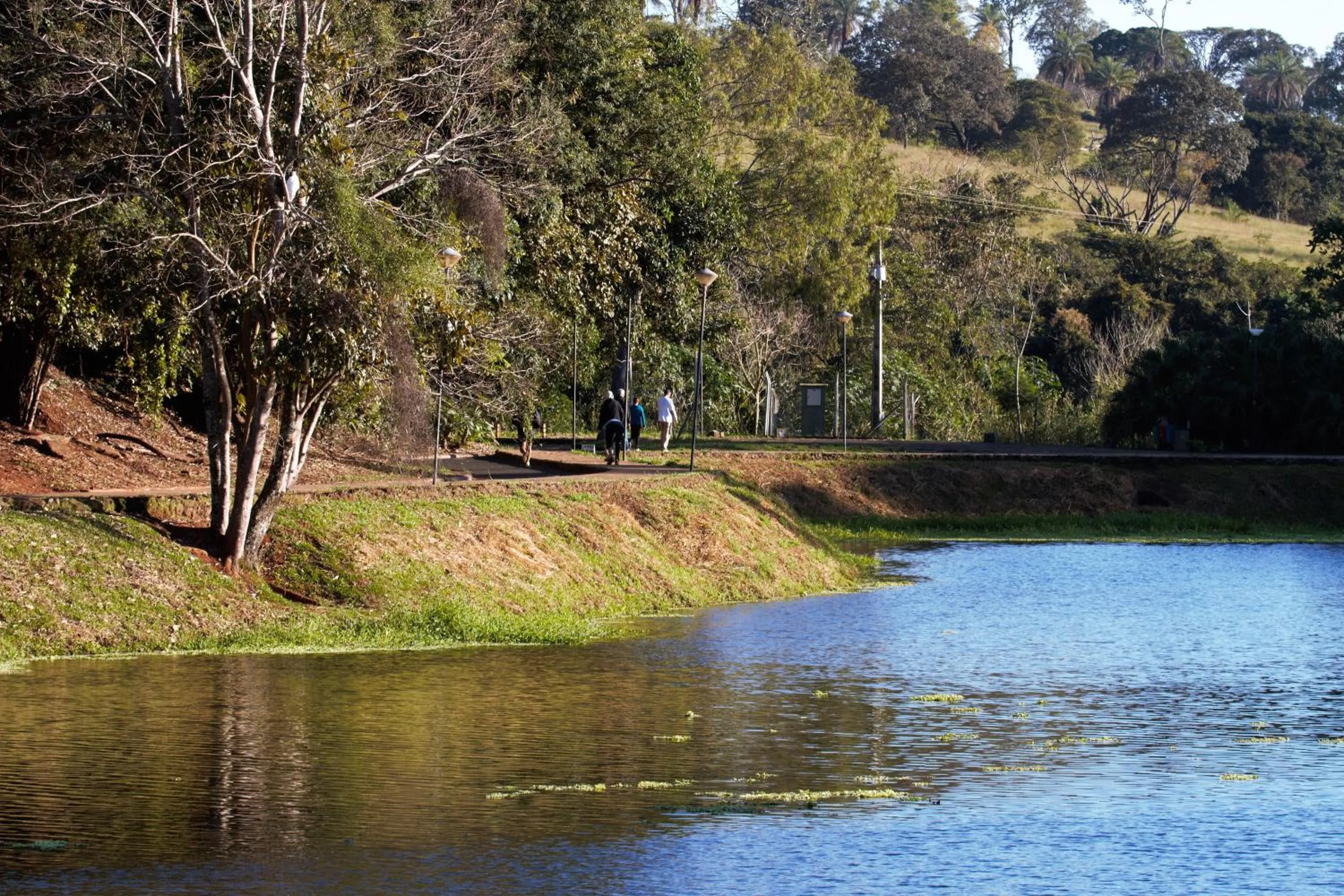 Fishing in Chalé Bosque Do Barreiro