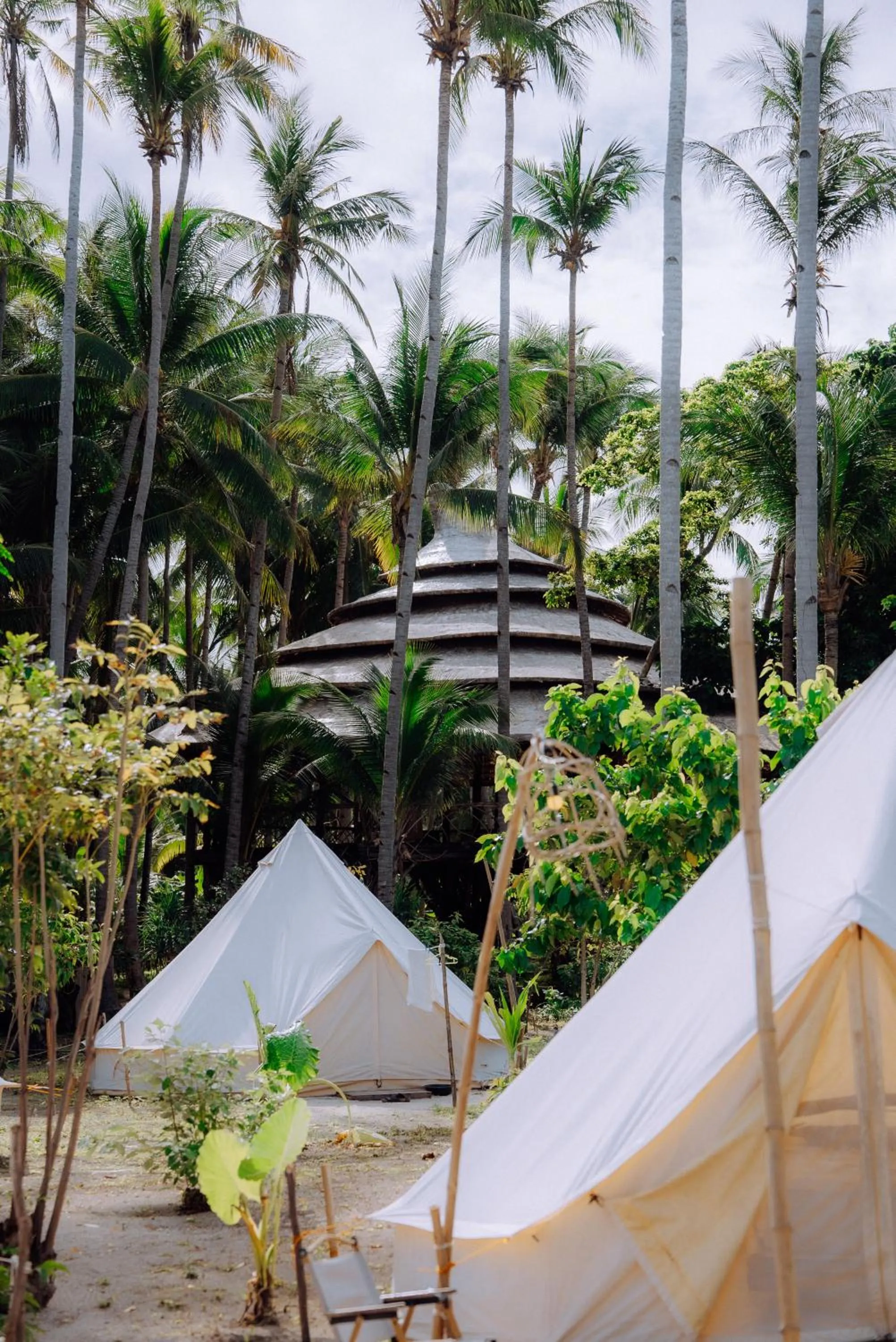 Dryft Darocotan Island