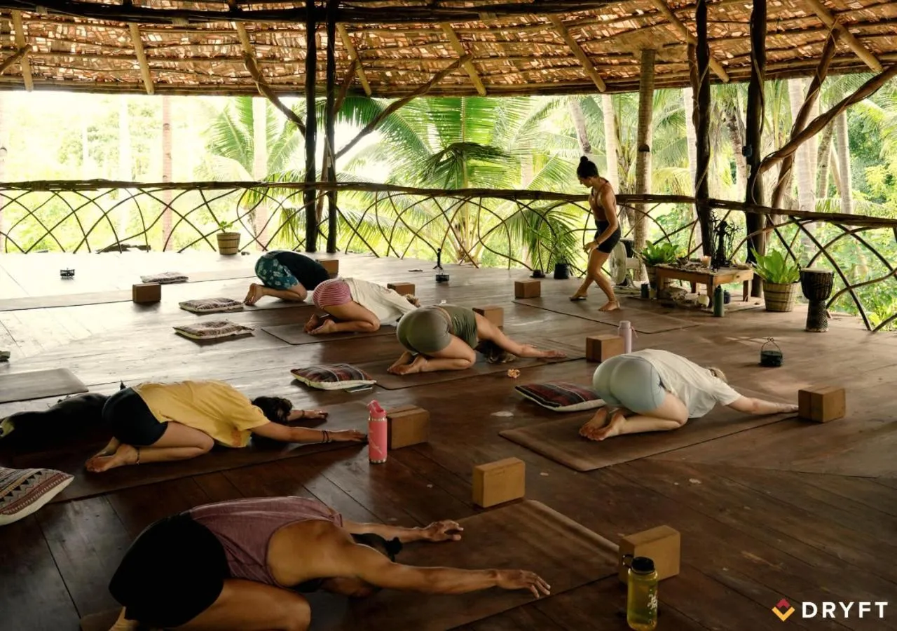 Dryft Darocotan Island