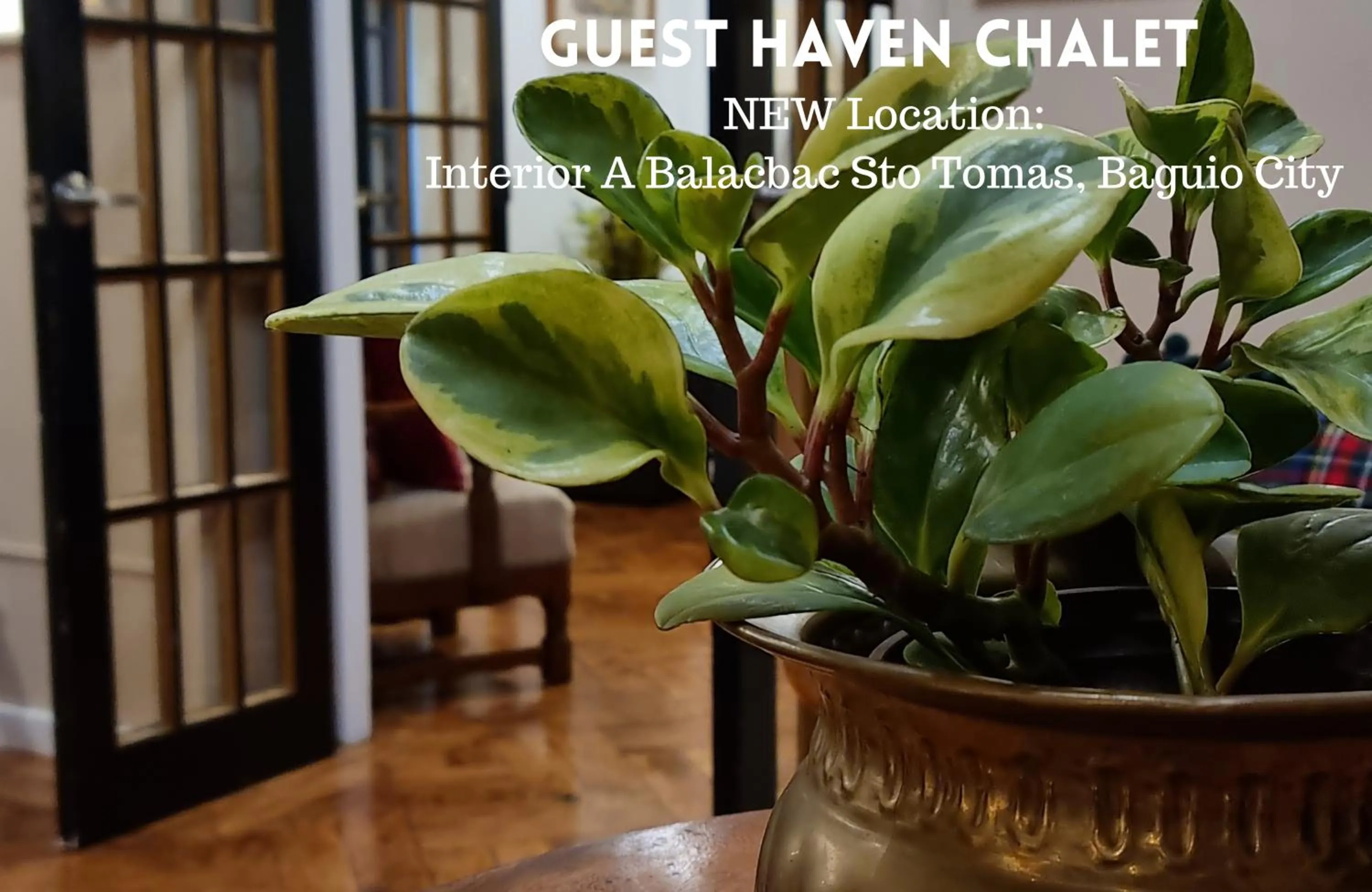 Communal lounge/ TV room in Guest Haven Chalet Baguio Bed and Breakfast