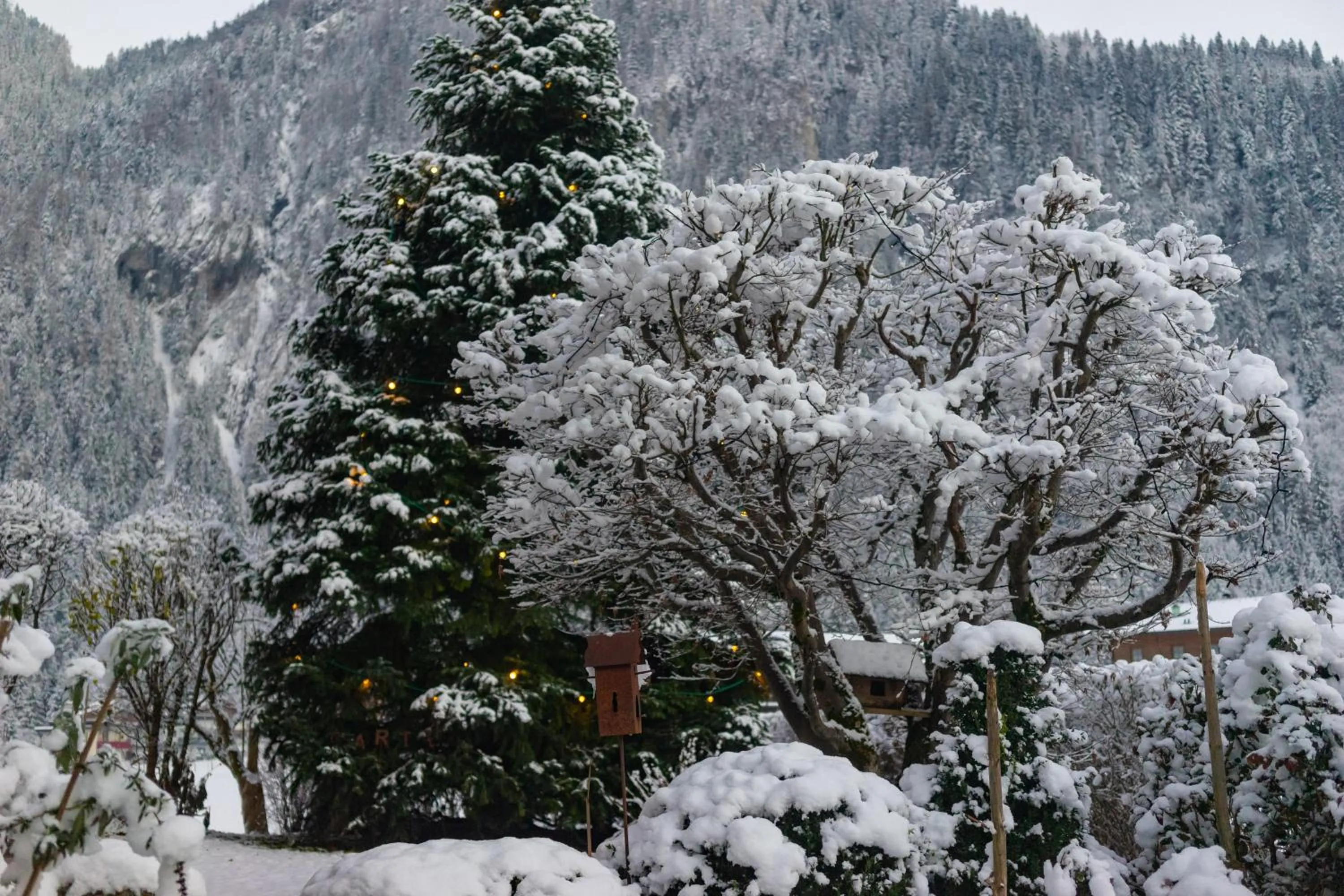 Winter in Gästehaus Hornegger