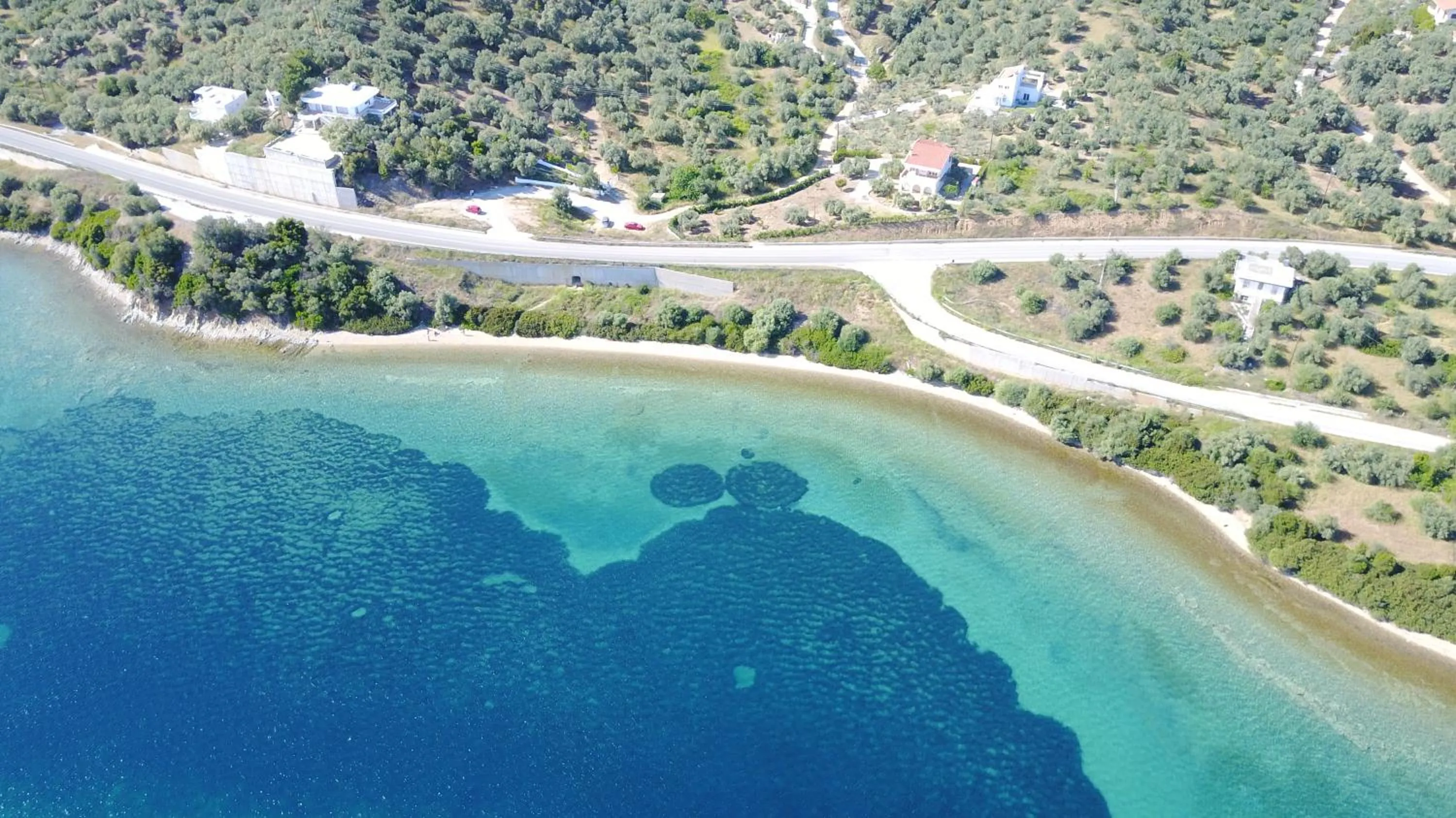 Nearby landmark in Calypso Beach Hotel