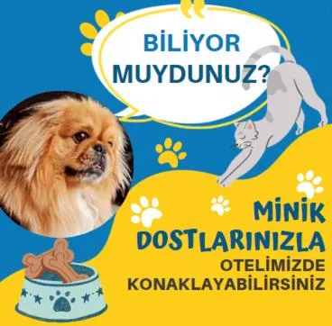 Samsun Osmanlı Otel