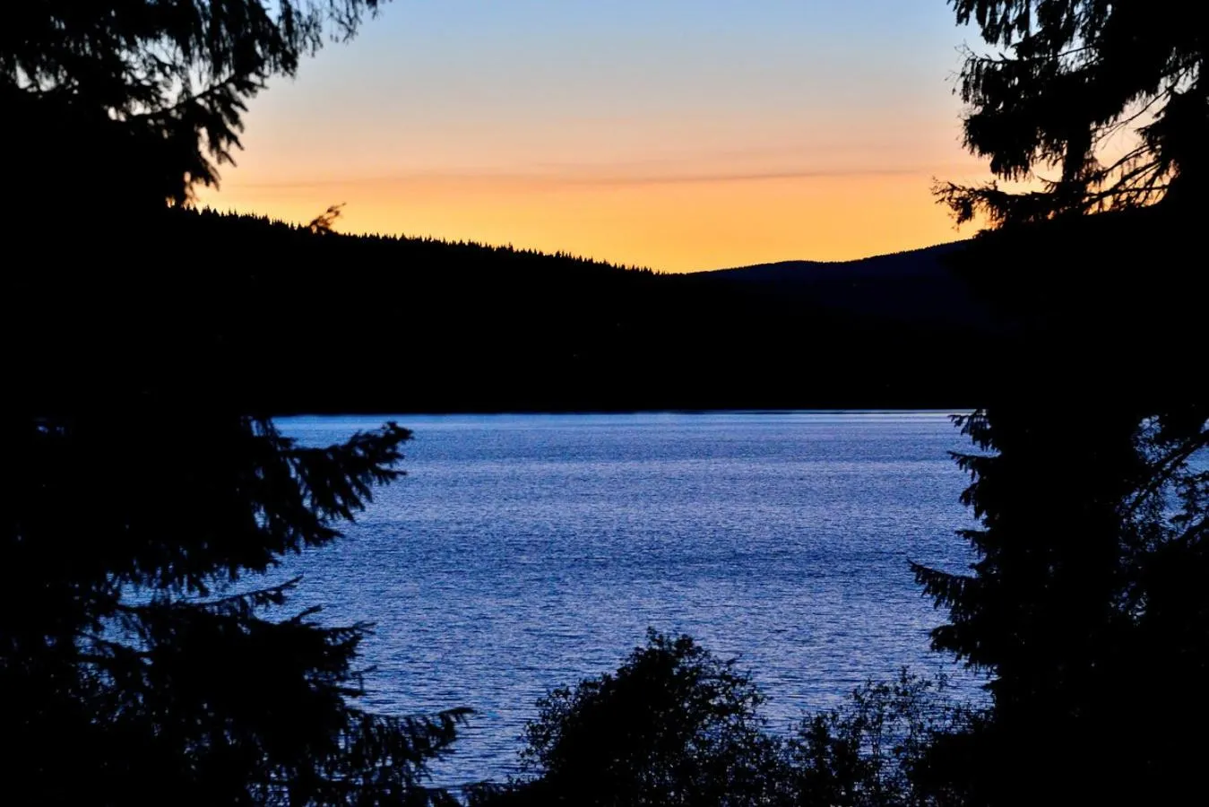 Natural landscape in Montanie Resort