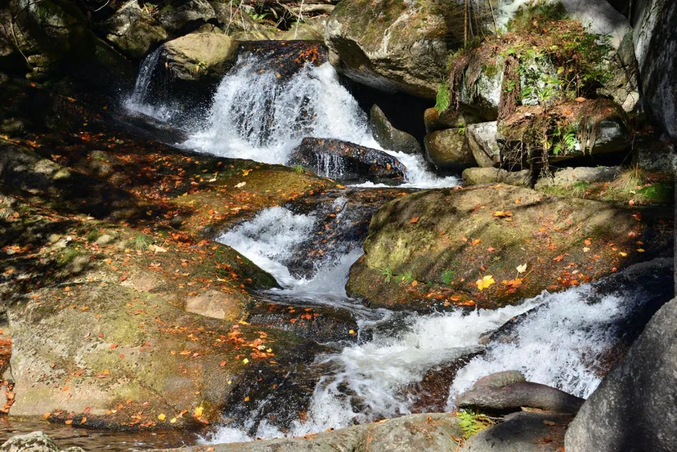 Natural landscape in Montanie Resort