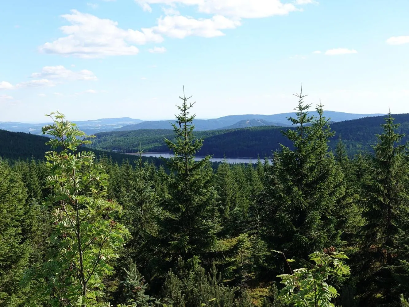 Natural landscape in Montanie Resort