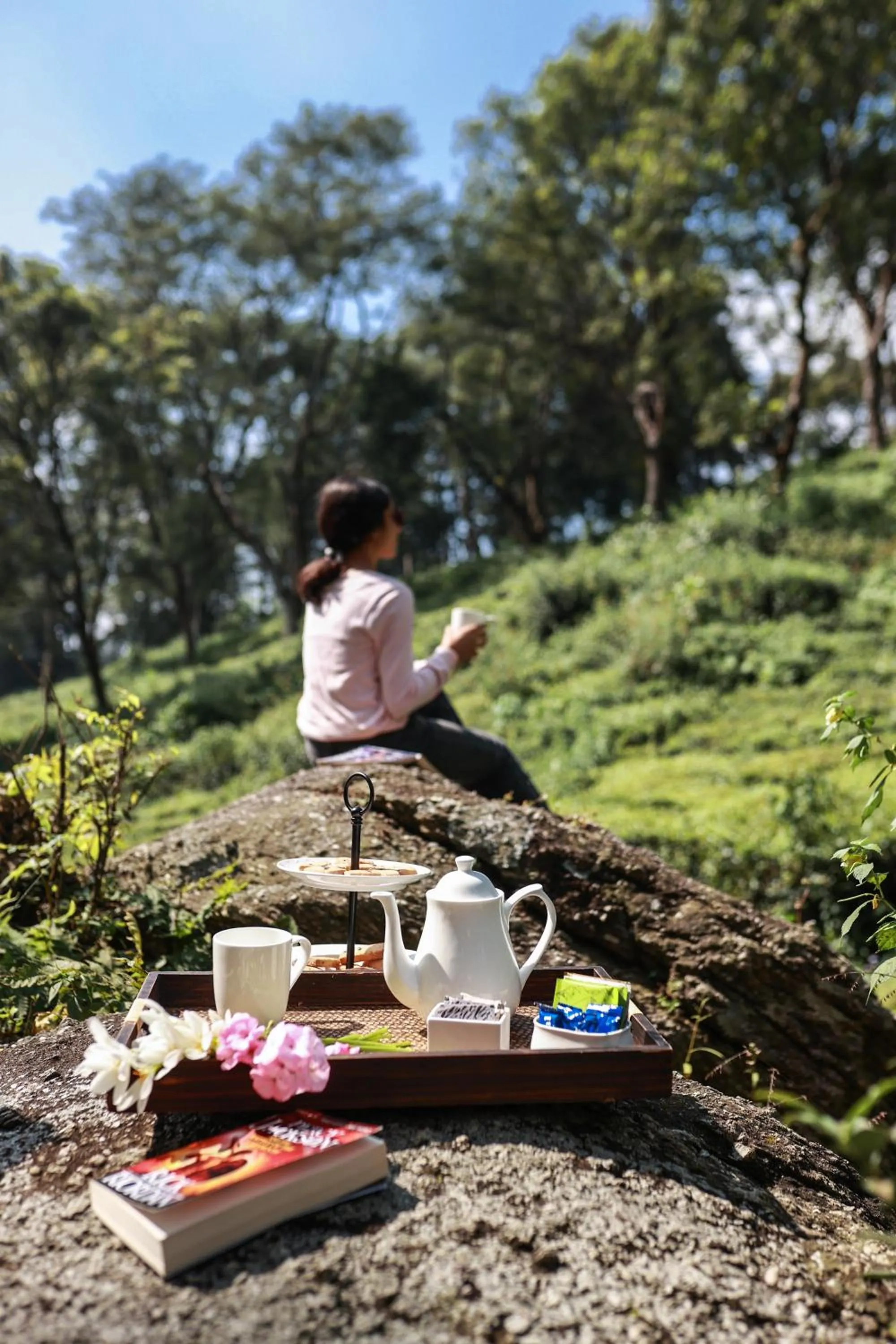 Natural landscape in Lamrin Norwood Green Palampur, Himachal Pradesh