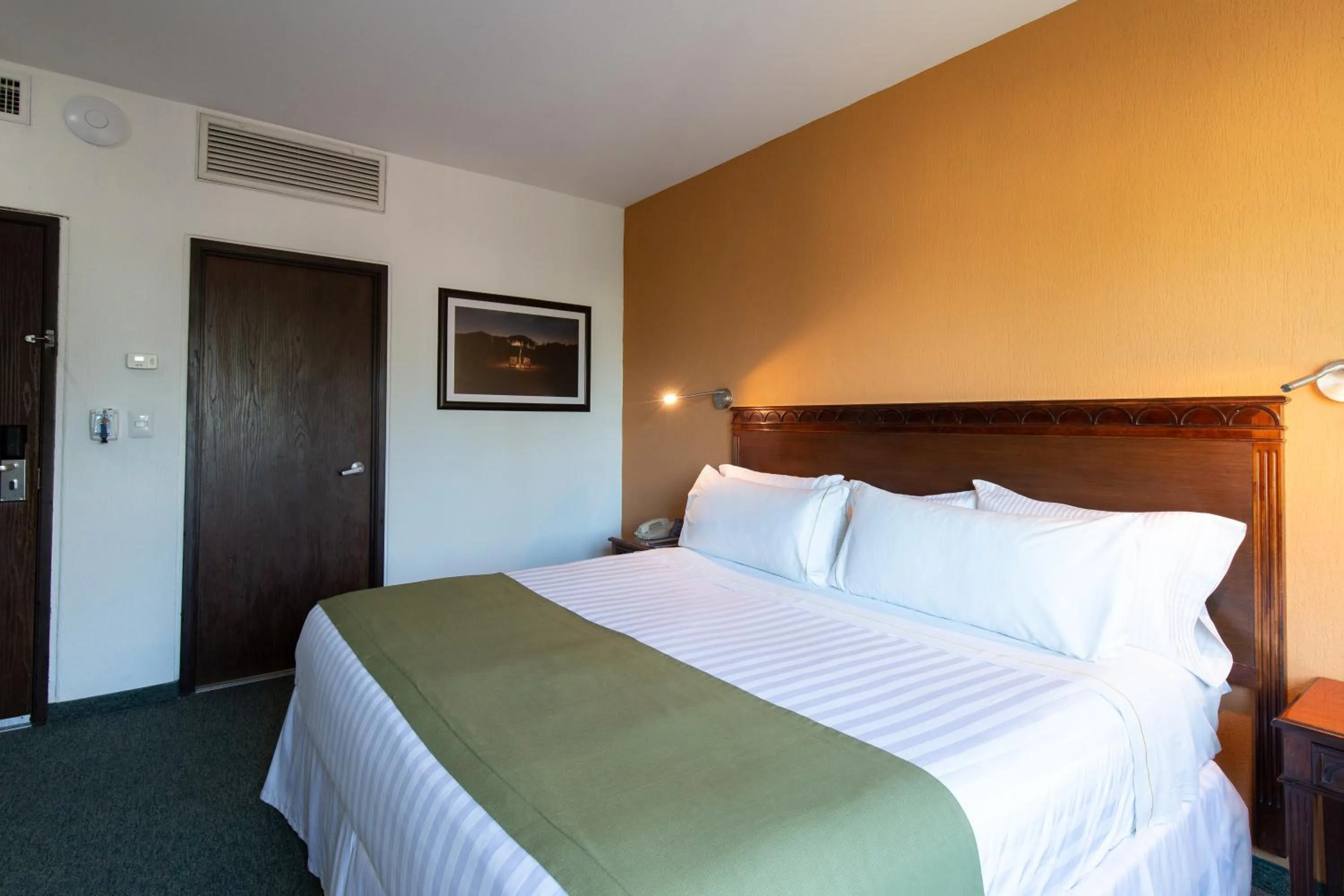 Deluxe King Room in HS HOTSSON Smart Value Tampico