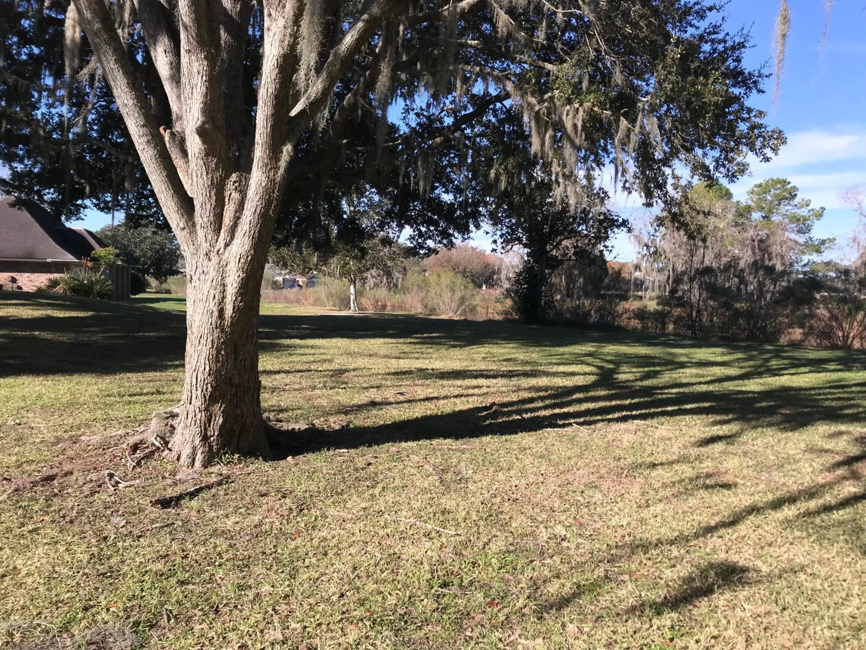 Natural landscape, Garden in Lakeview Hotel