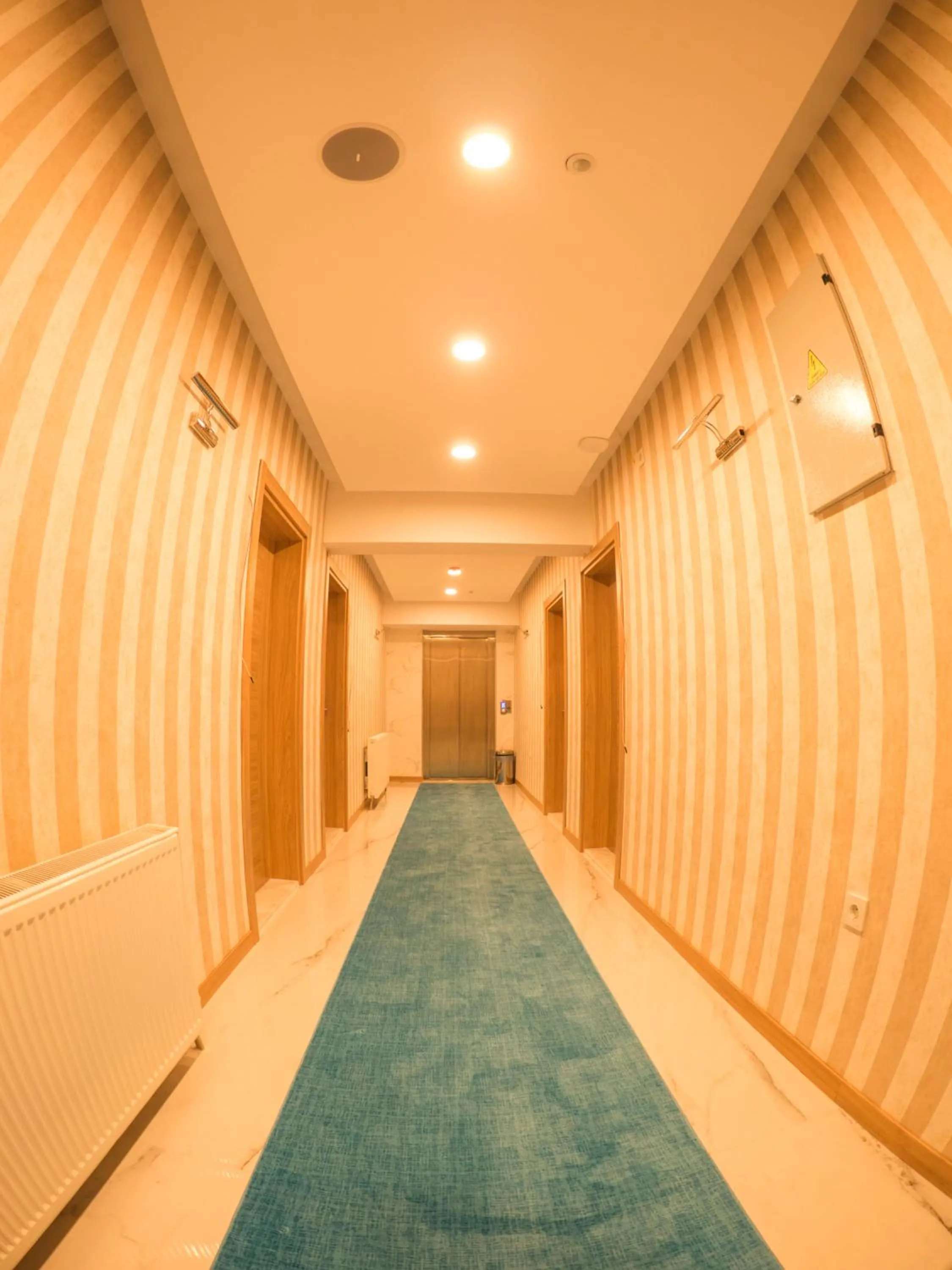 Decorative detail in Elif Inan Hotel