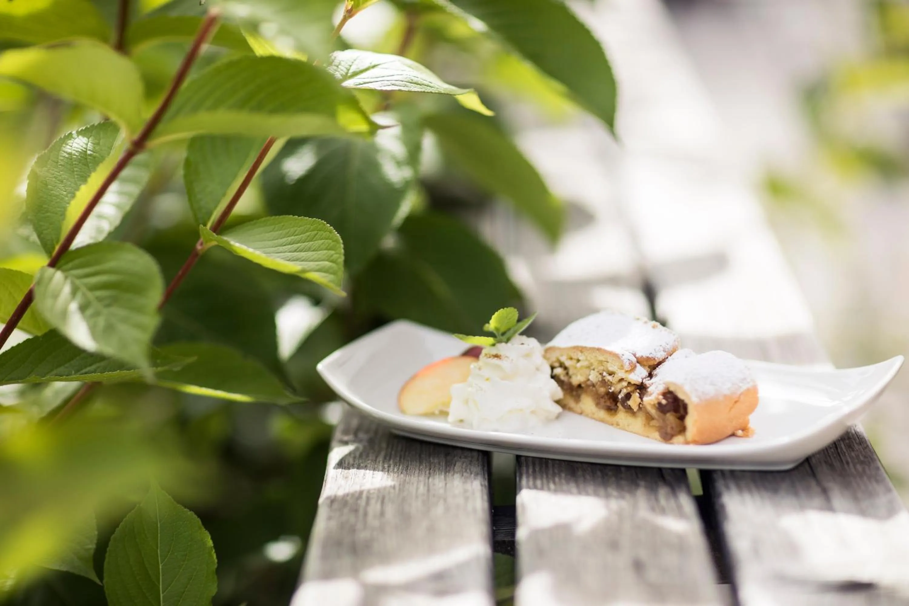 Food in Hotel Alpenhof