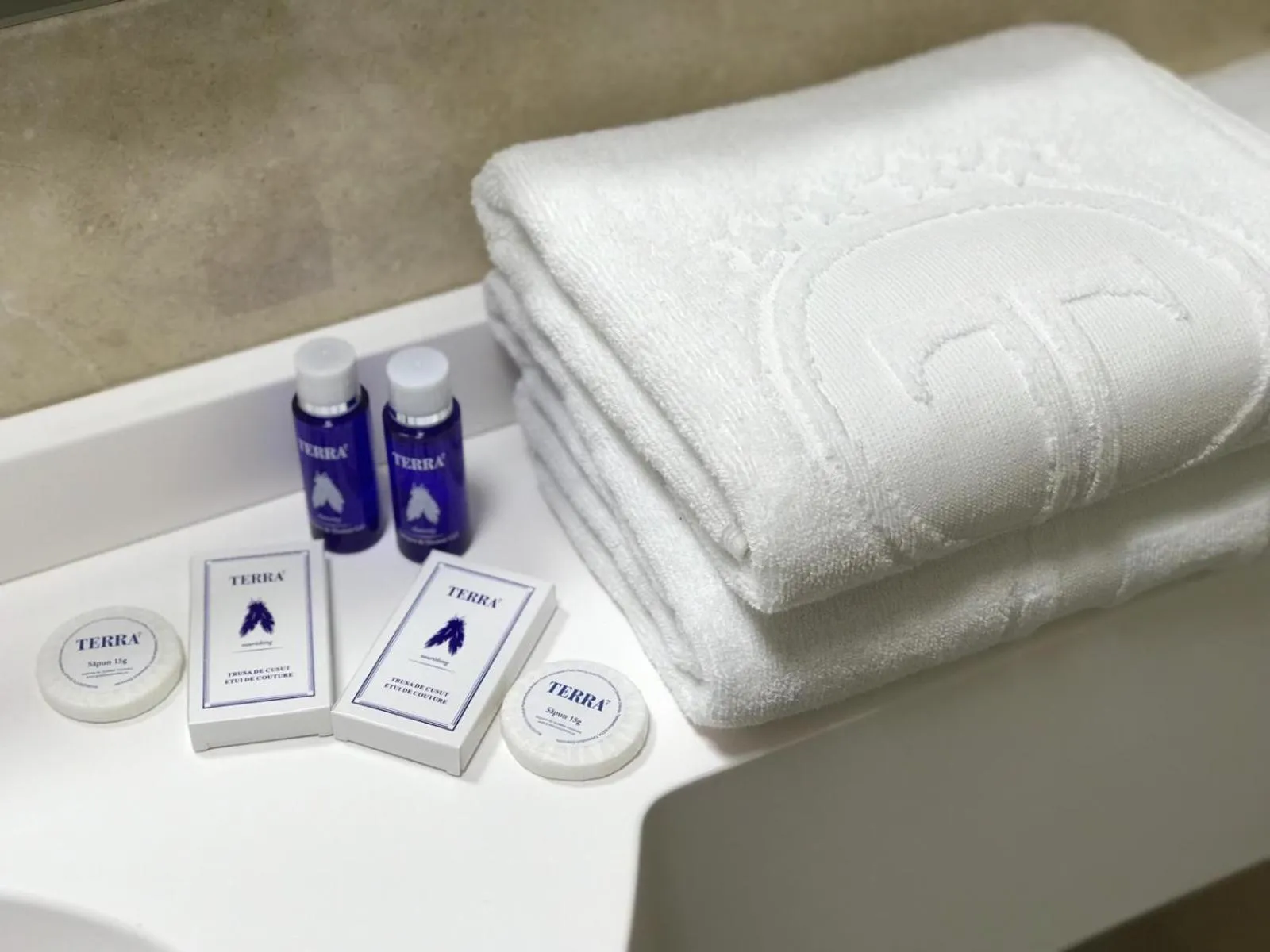 Bathroom in Hotel Terra