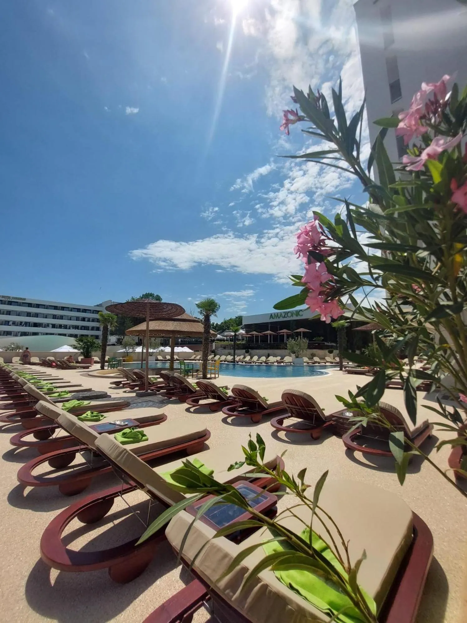 sunbed in Hotel Terra