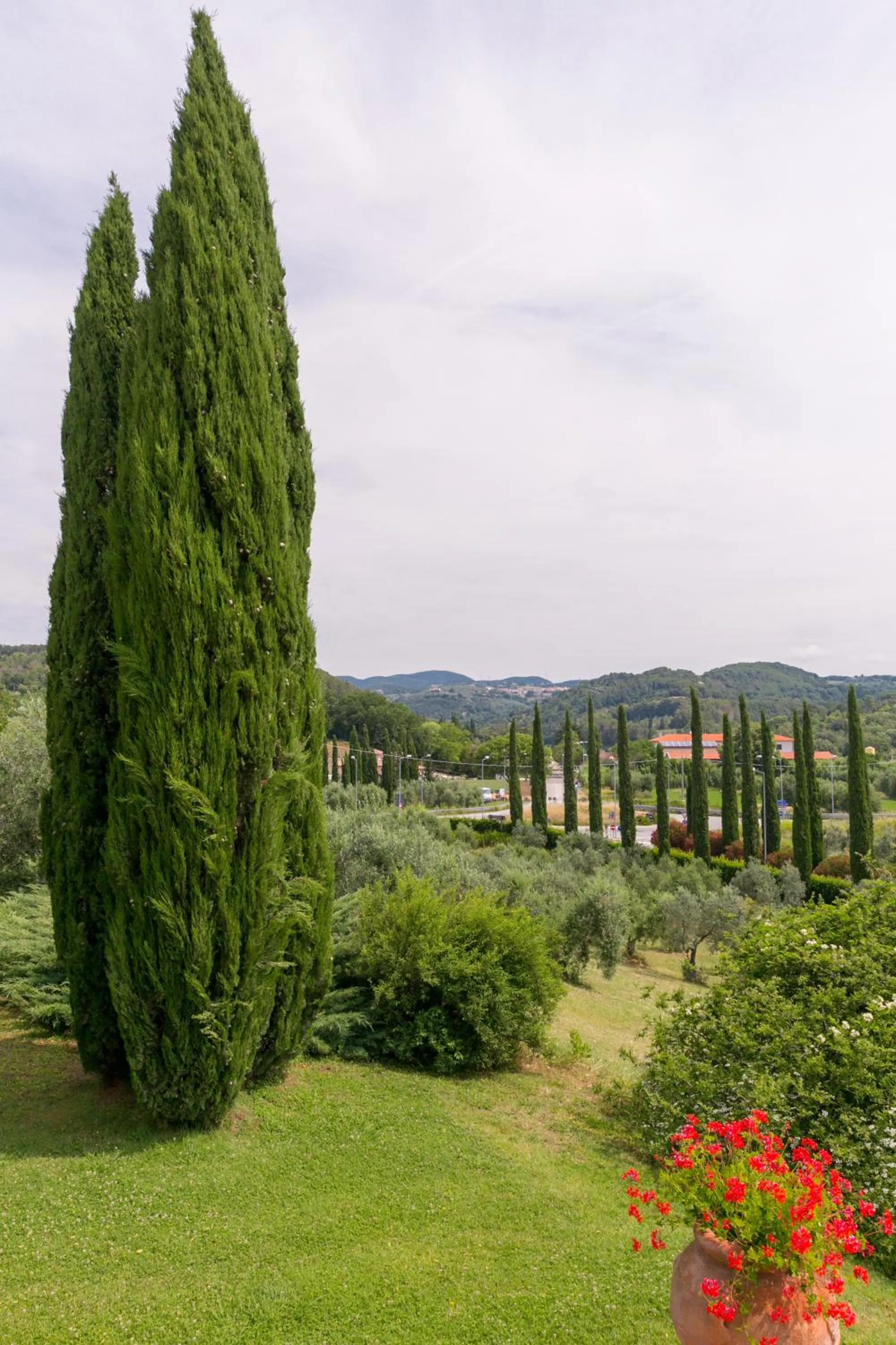 Natural landscape in VILLA LIGUSTRO