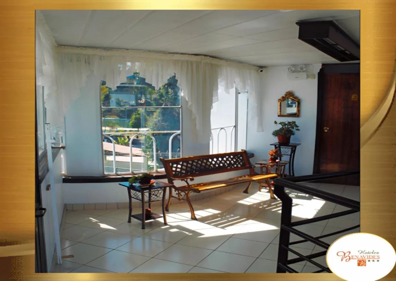 Garden in Hotel Benavides