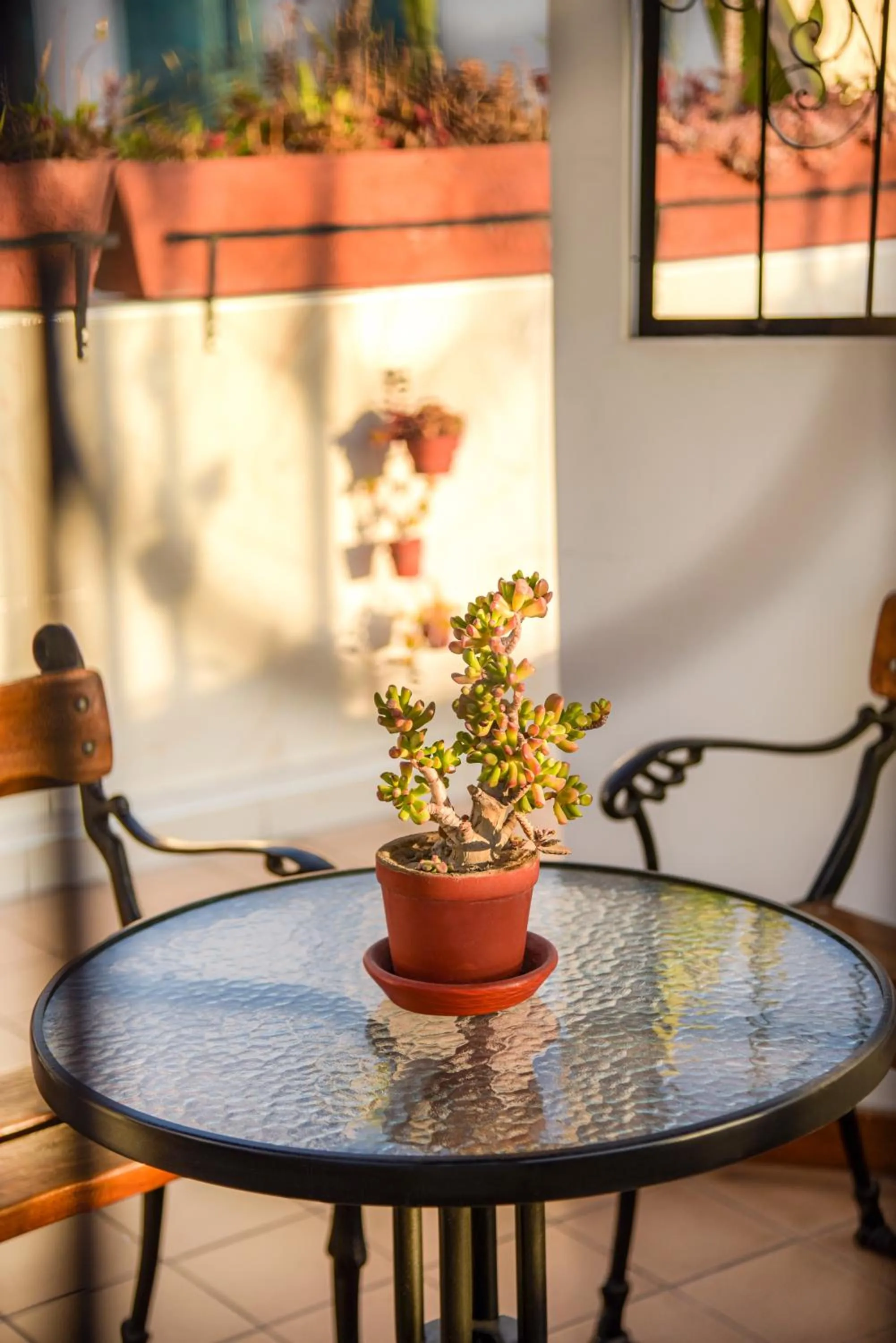 Patio in Hotel Benavides