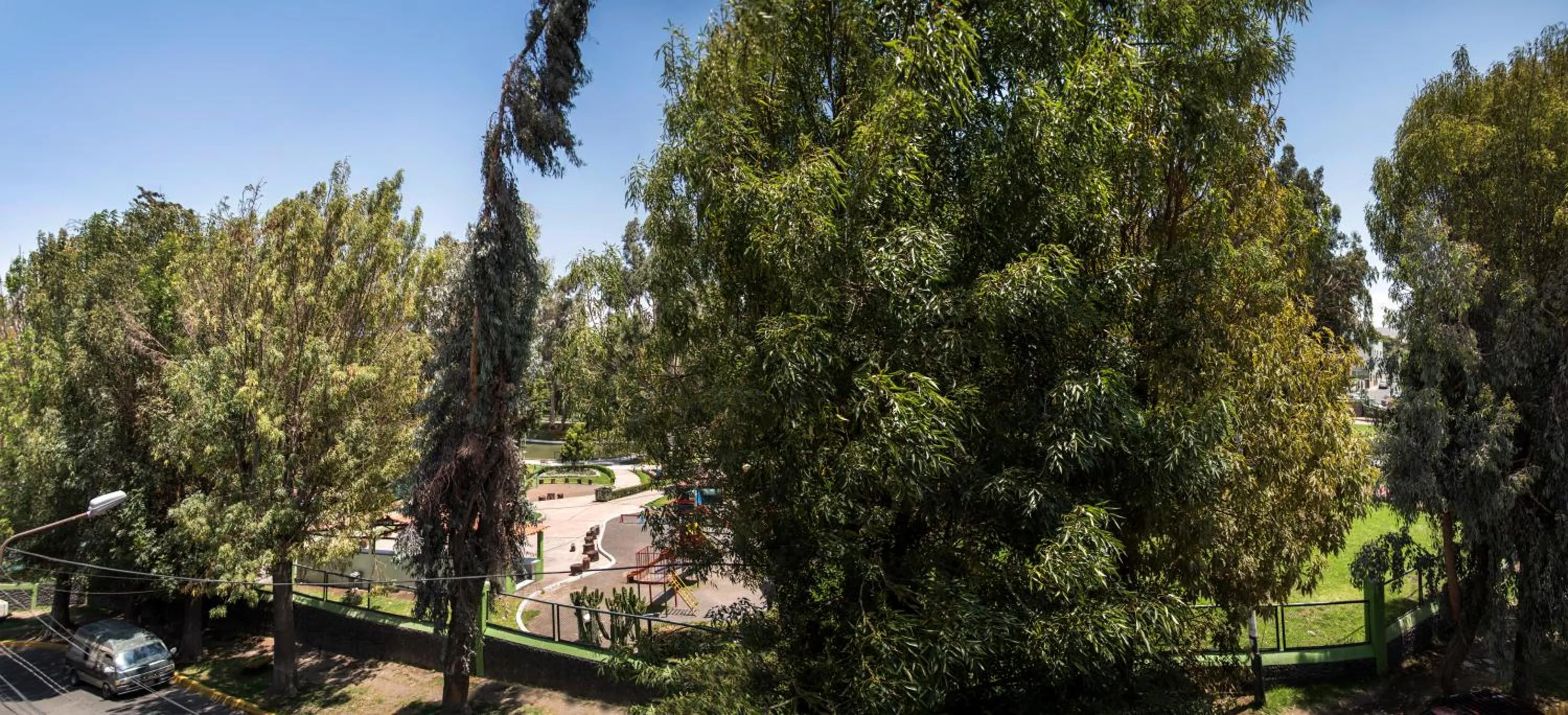 View (from property/room) in Hotel Benavides