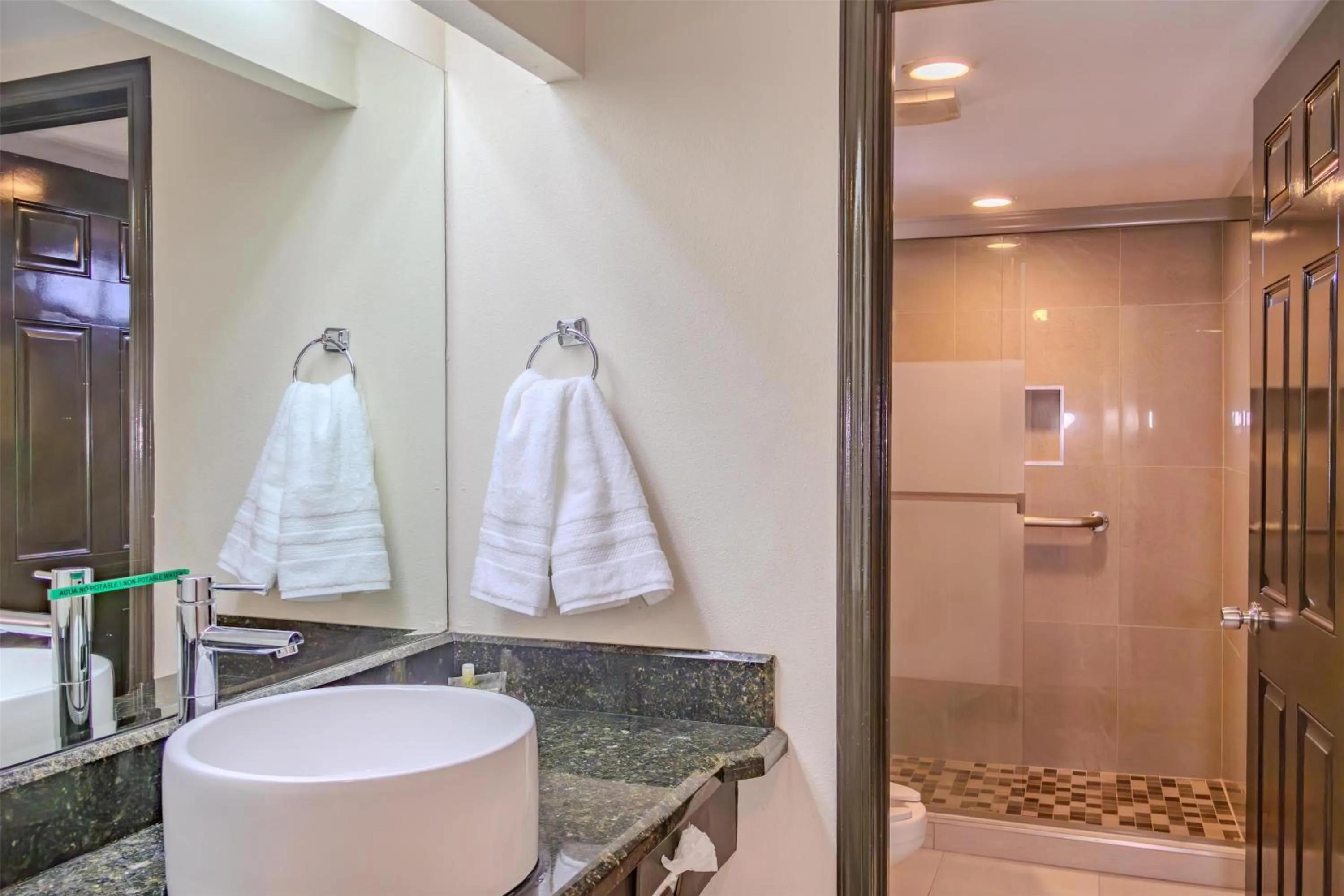 Bathroom in Best Western Hotel Plaza Matamoros