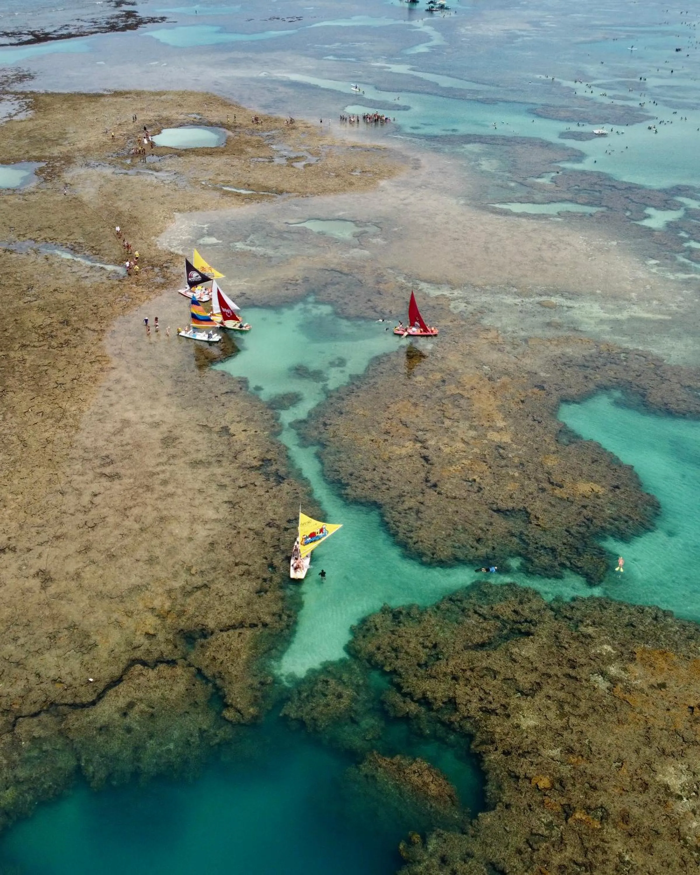 Nearby landmark in Rudá Boutique Hotel Porto de Galinhas