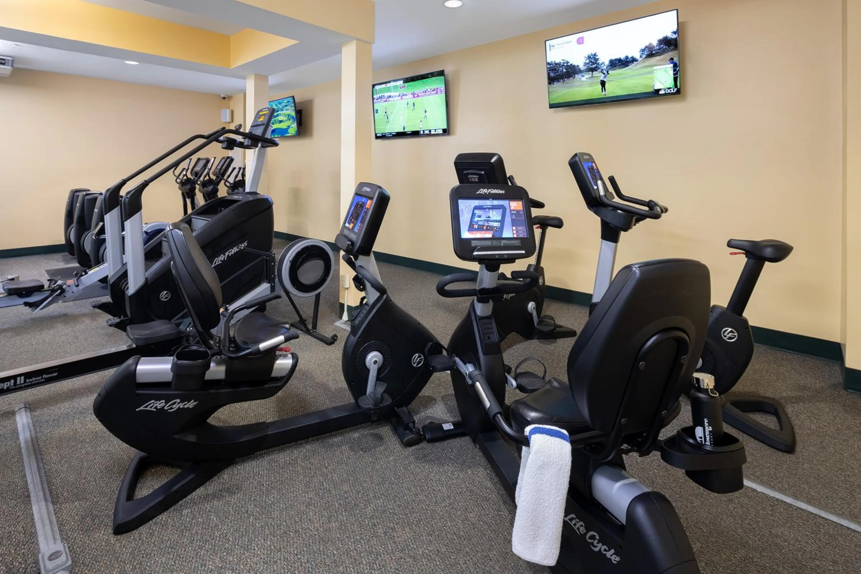 Fitness centre/facilities in Meadowmere Resort