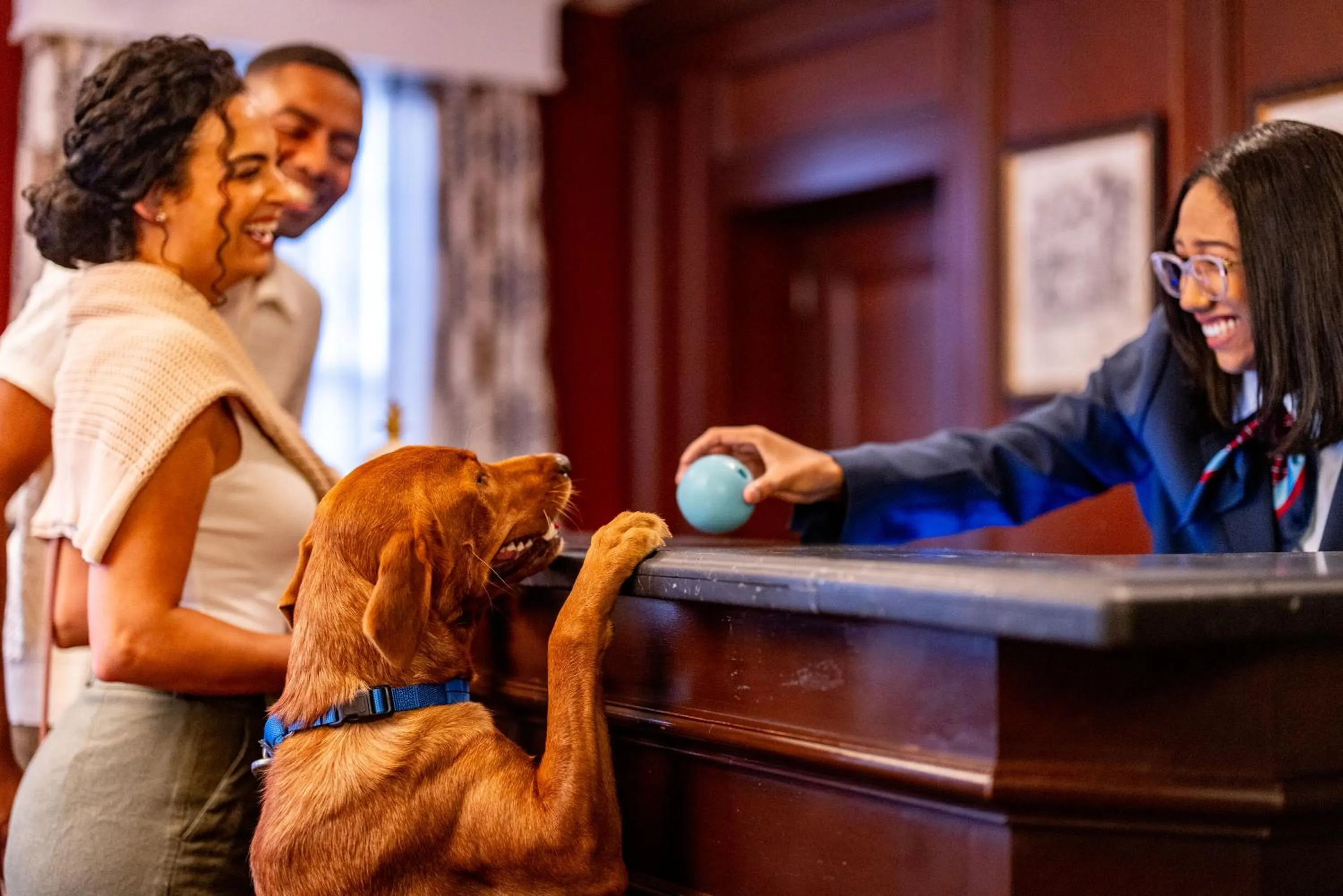Pets in Historic Inns of Annapolis