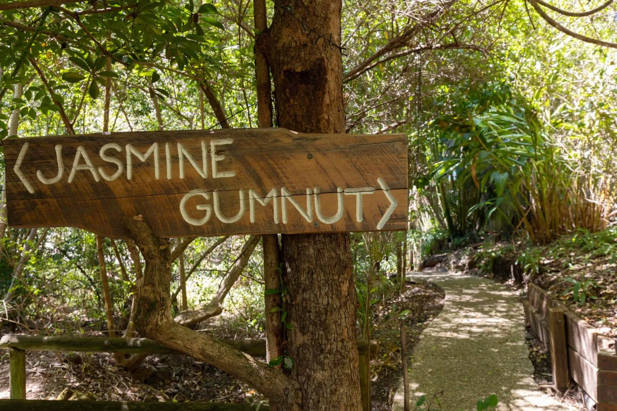Garden in Hunchy Hideaway