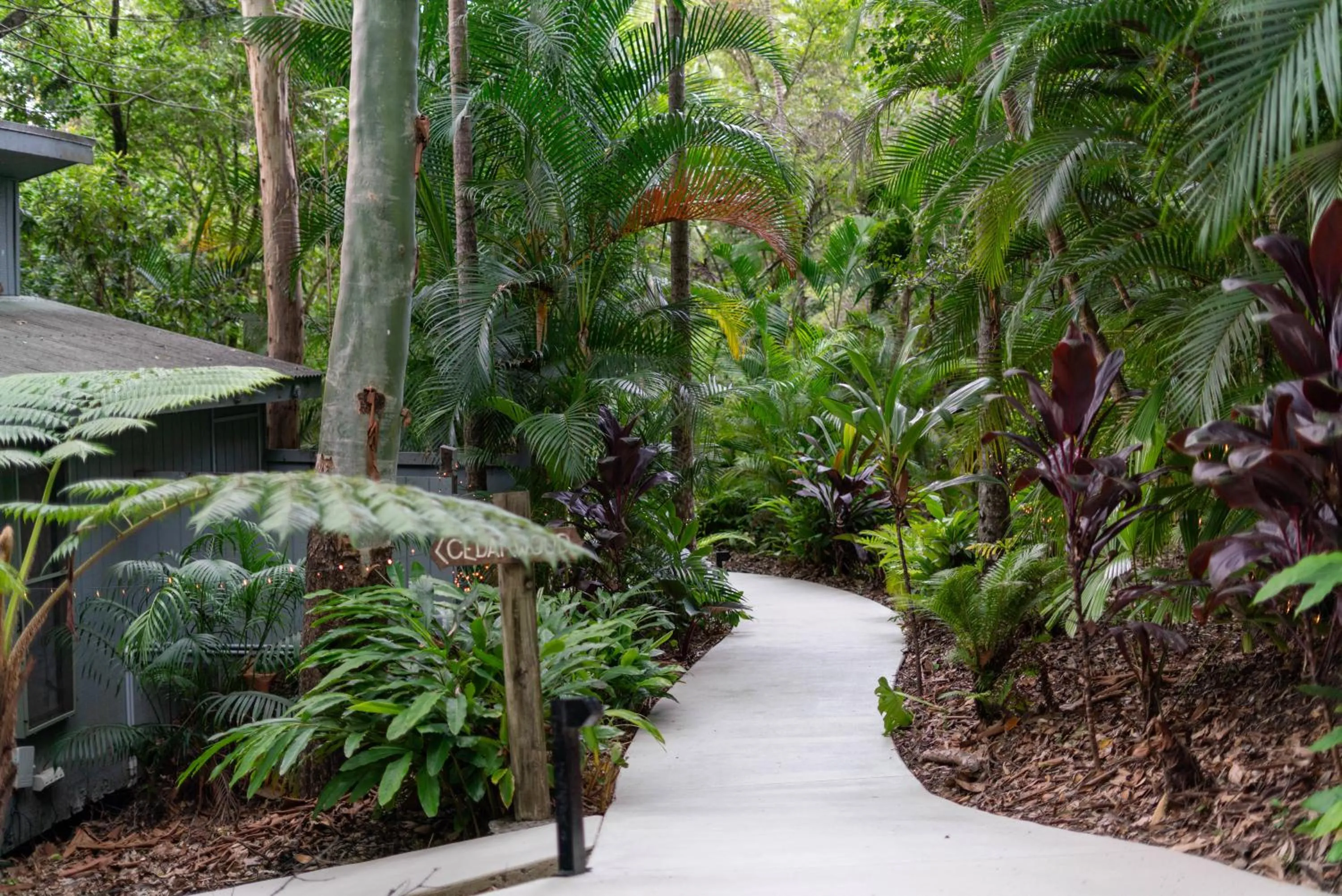 Garden in Hunchy Hideaway