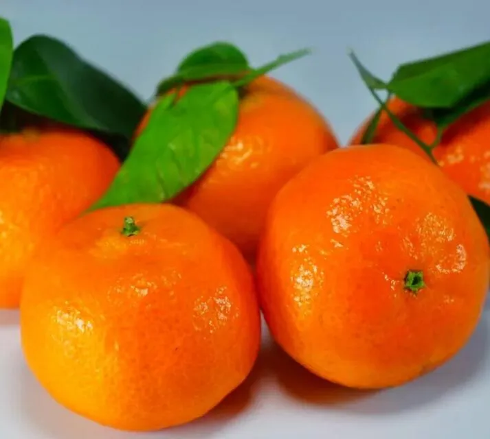 Halumba Eco Villa Bali