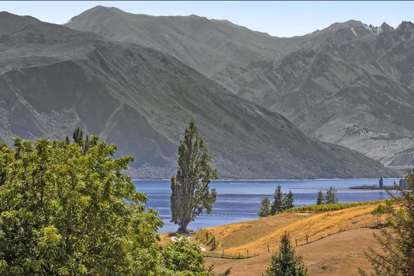 Mt Aspiring Holiday Park
