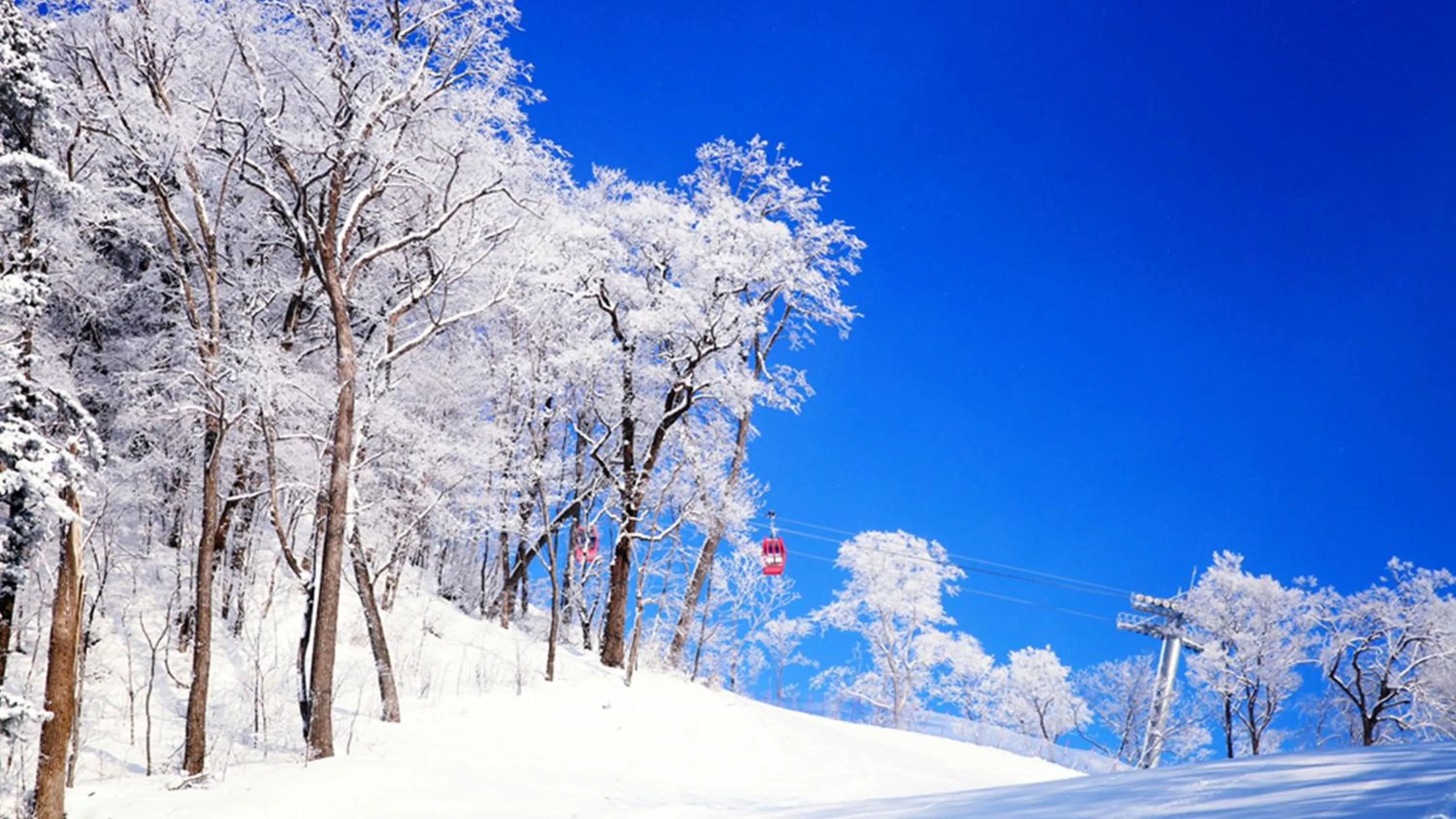 Other in Wanda Jin Suites Changbaishan