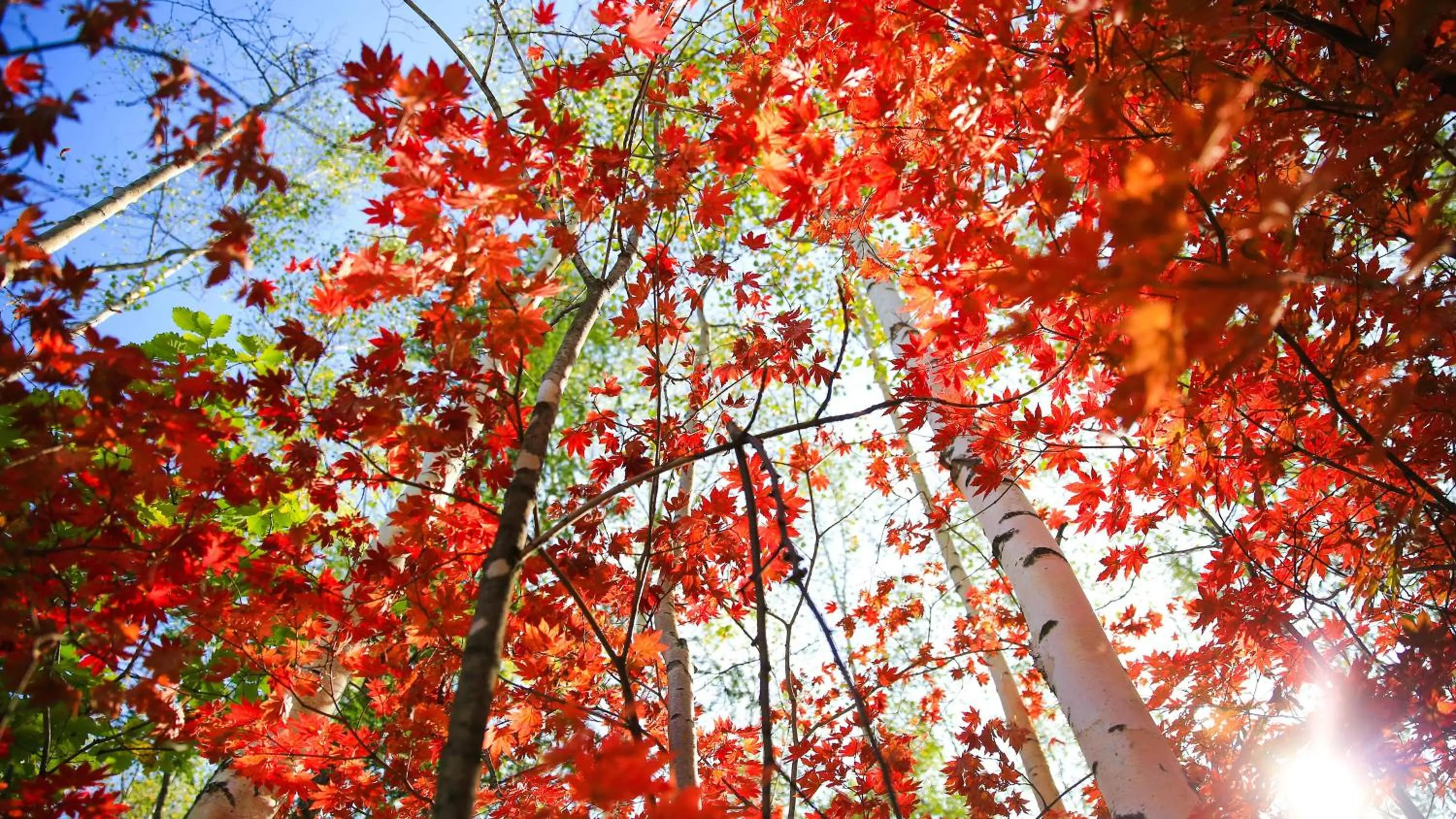 Property building in Wanda Jin Suites Changbaishan