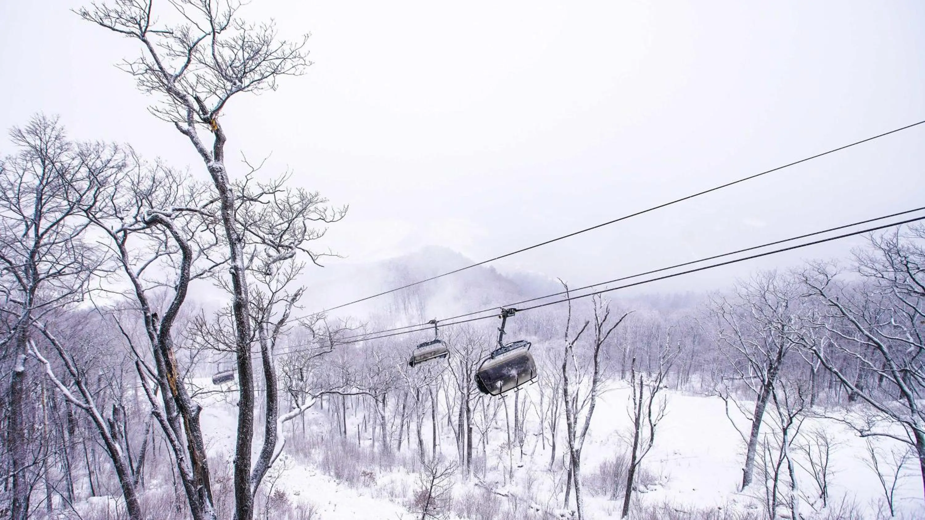 Other in Wanda Jin Suites Changbaishan