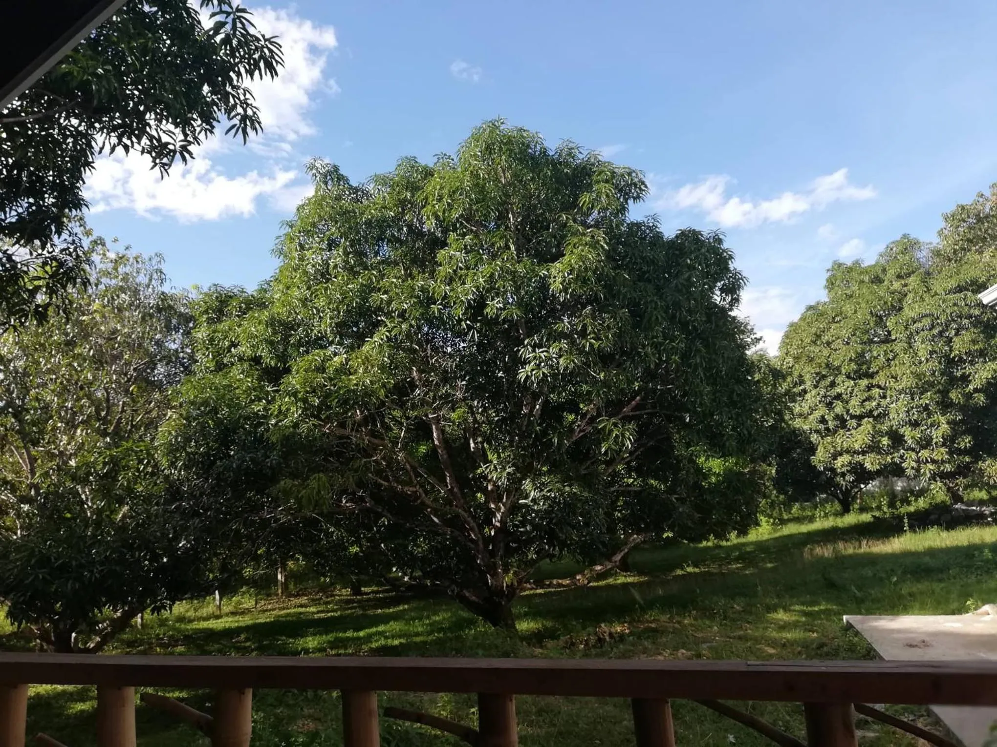 Balai Mariacaria Pension House