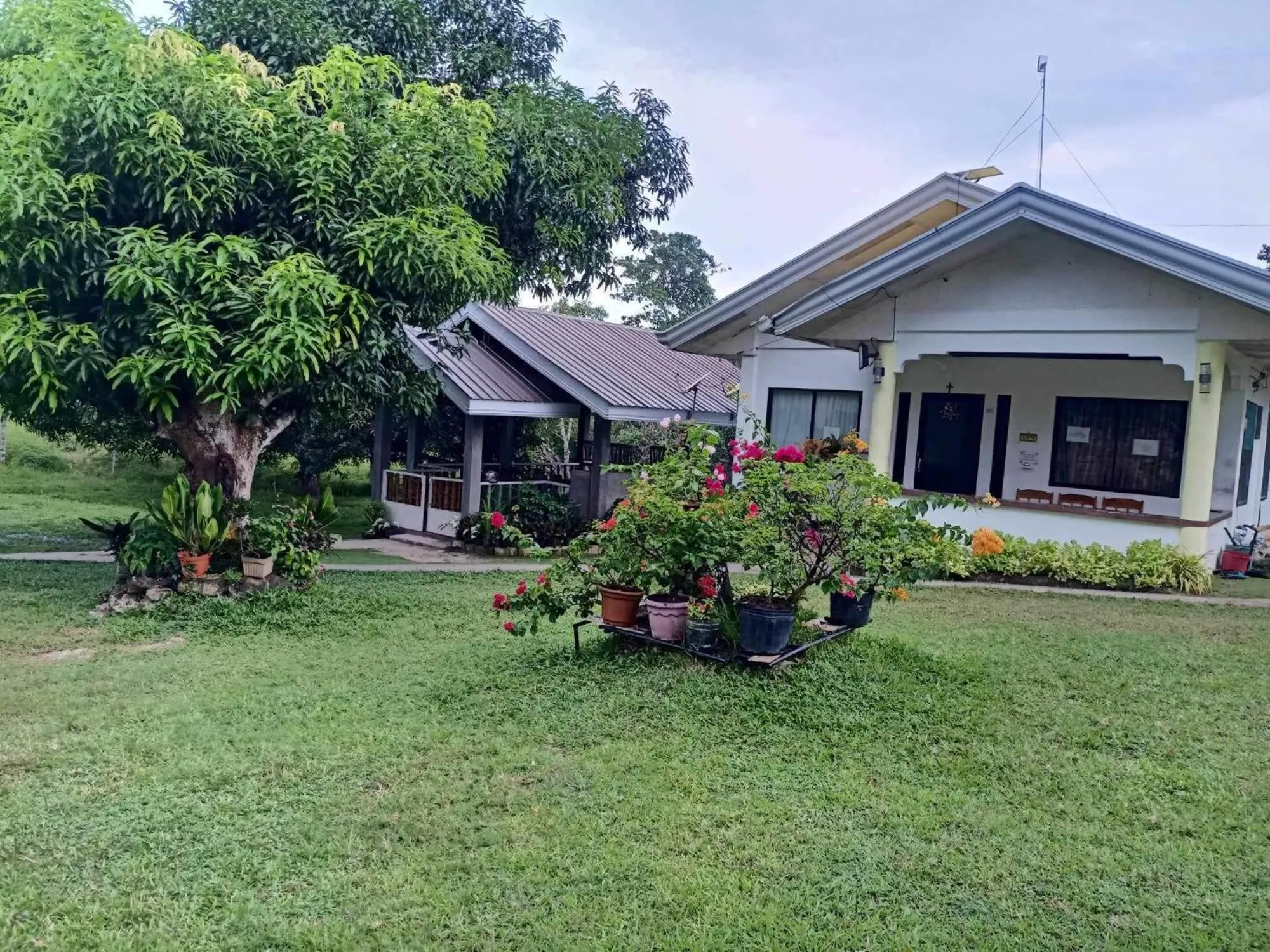 Garden in Balai Mariacaria Pension House
