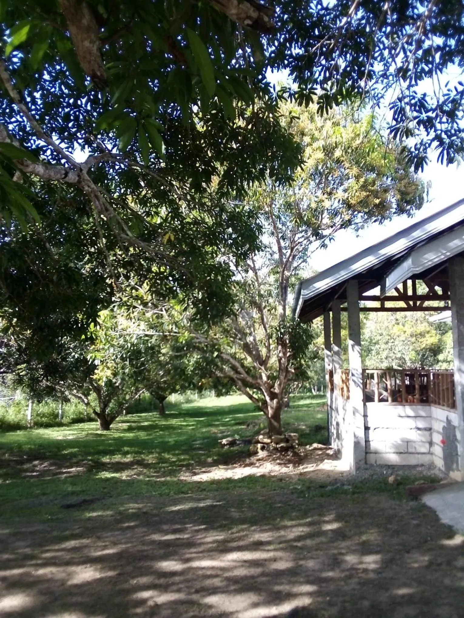 Balai Mariacaria Pension House