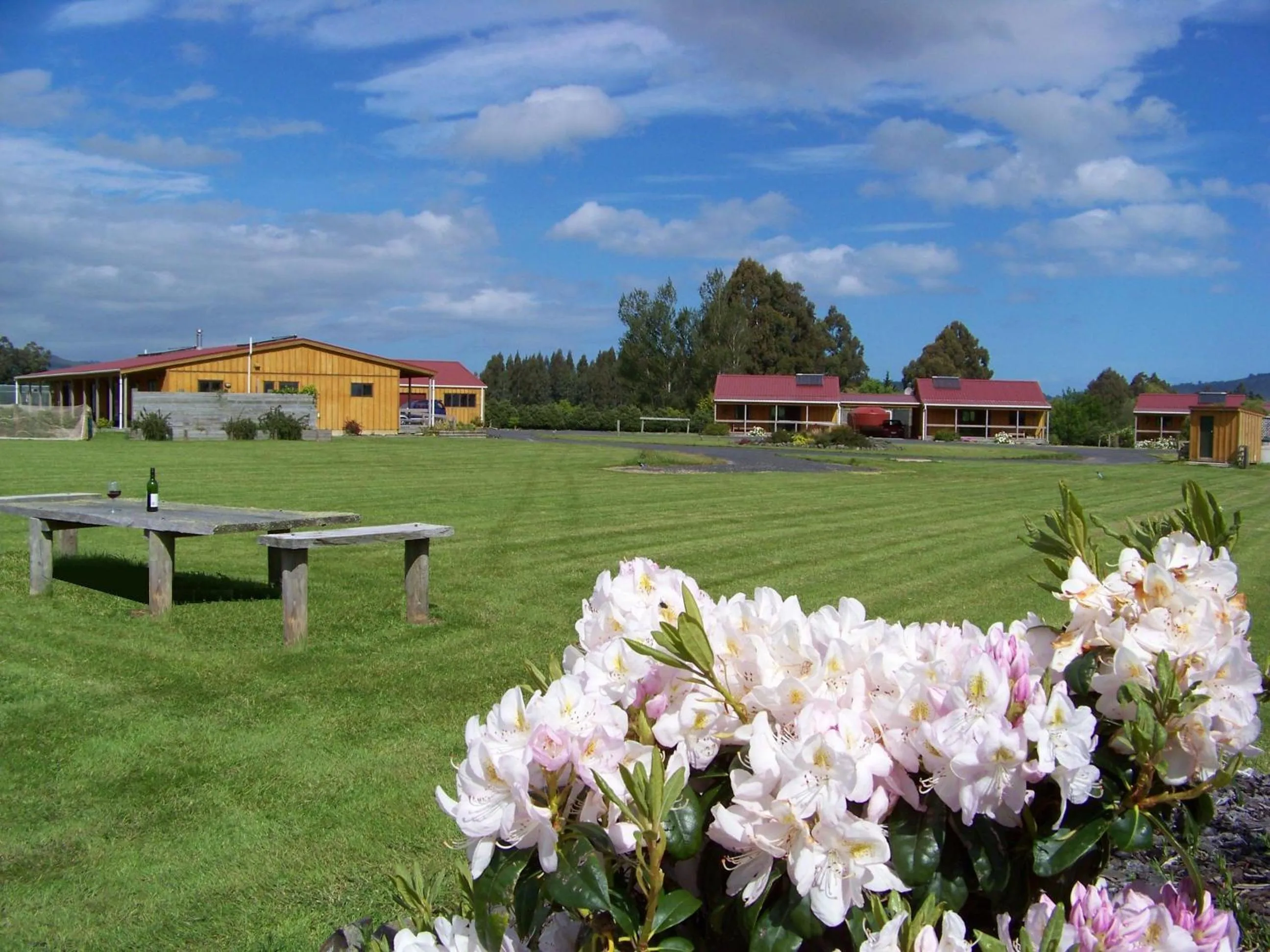Garden in Longbourne Lodge Motel Mosgiel