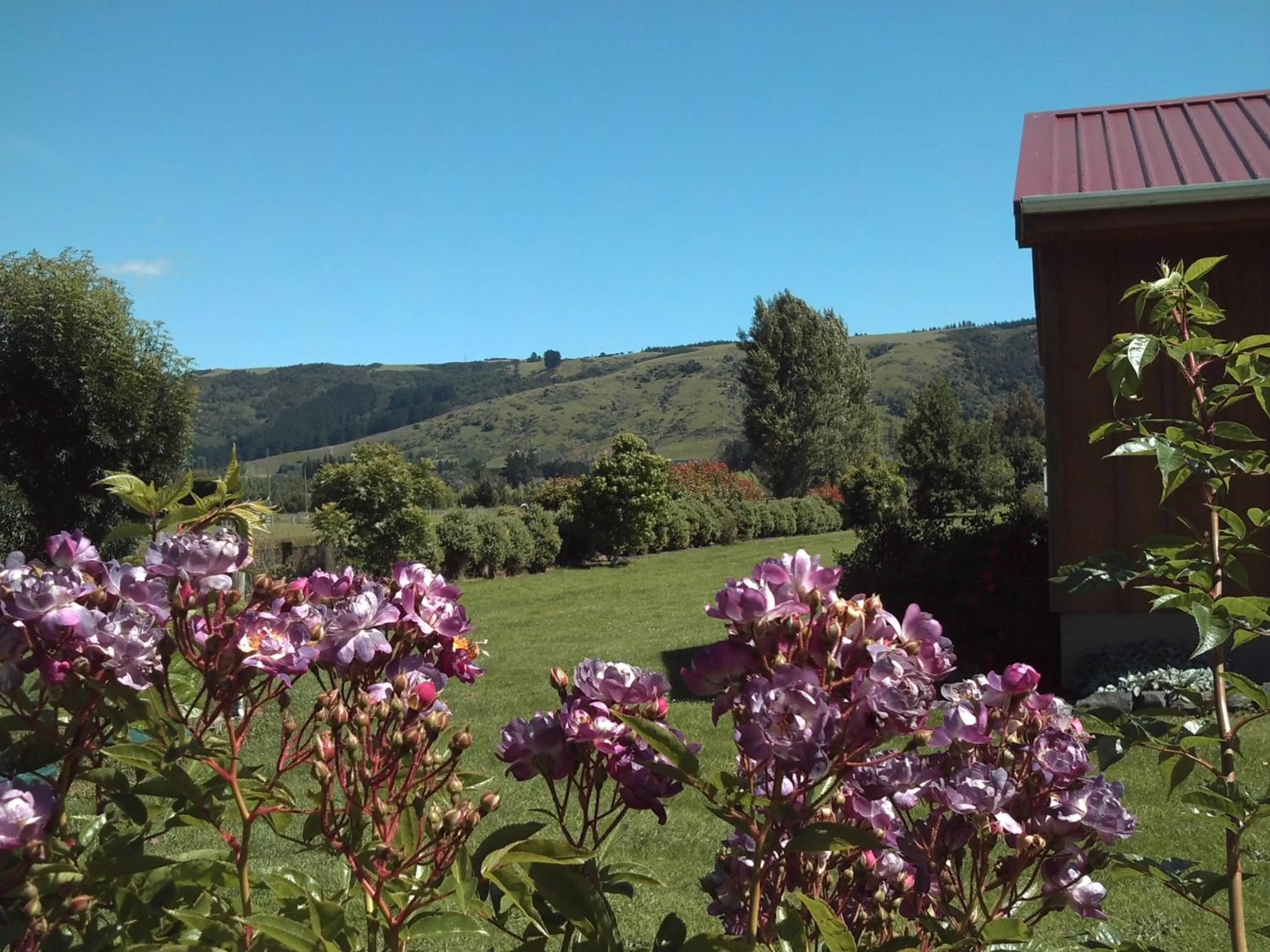 Garden in Longbourne Lodge Motel Mosgiel