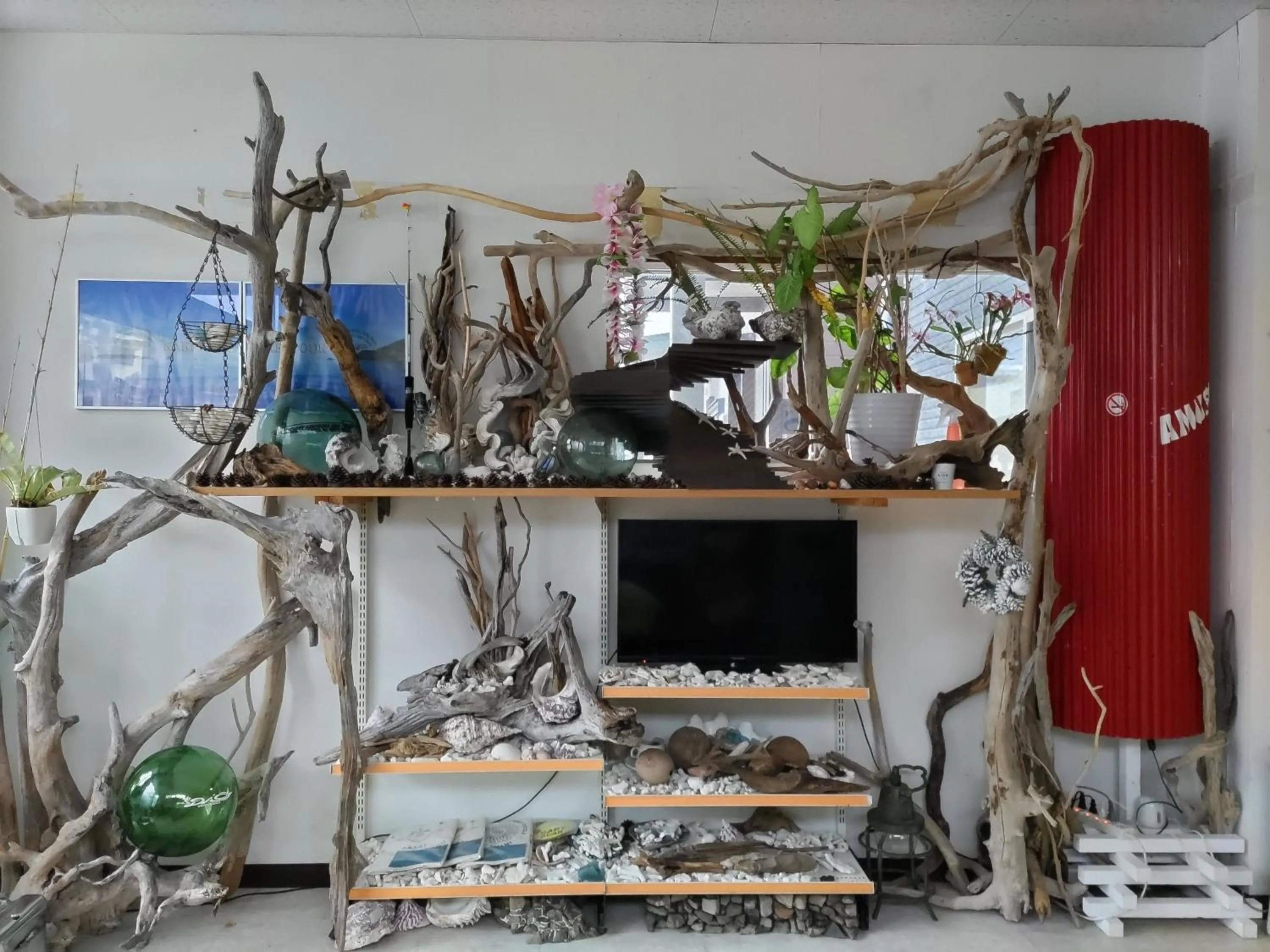 TV and multimedia in With DiO