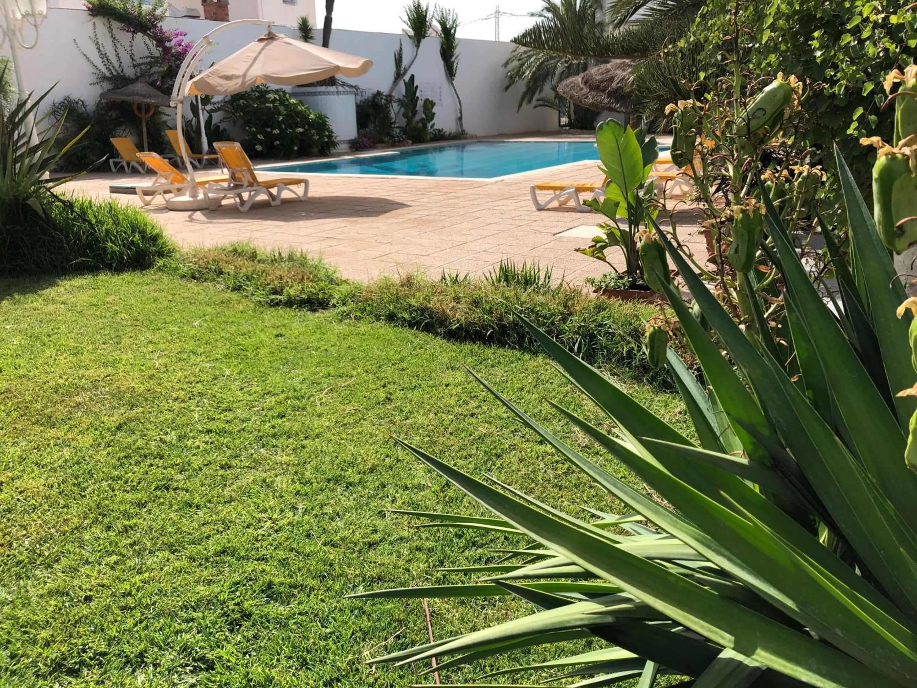Garden in Hotel Djerba Orient
