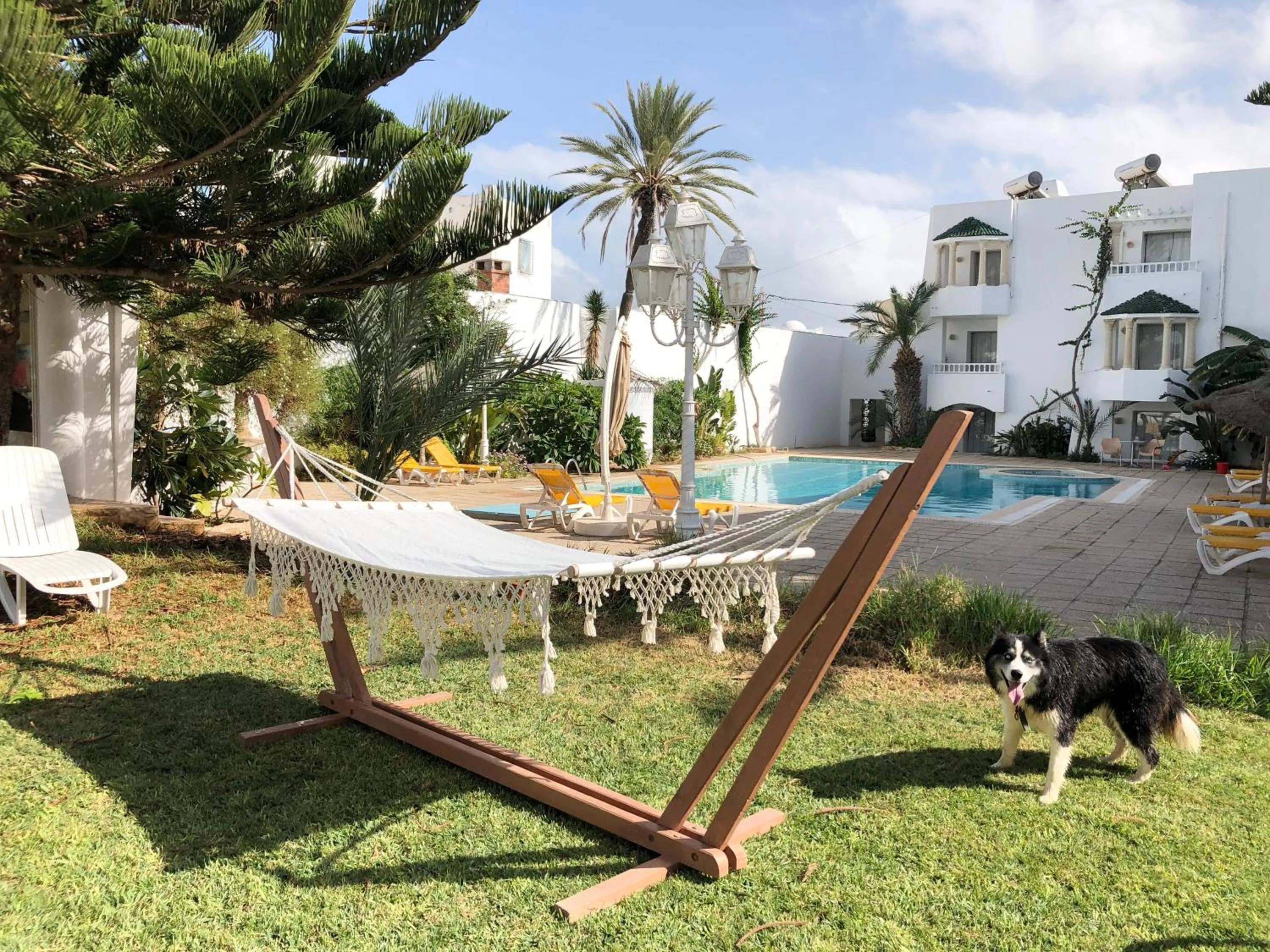 Garden in Hotel Djerba Orient