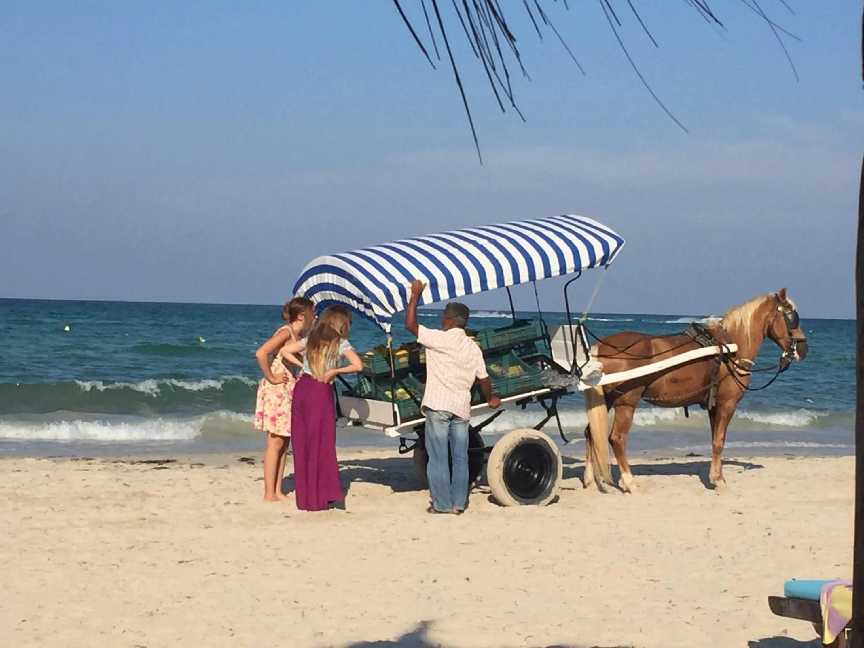 Day in Hotel Djerba Orient