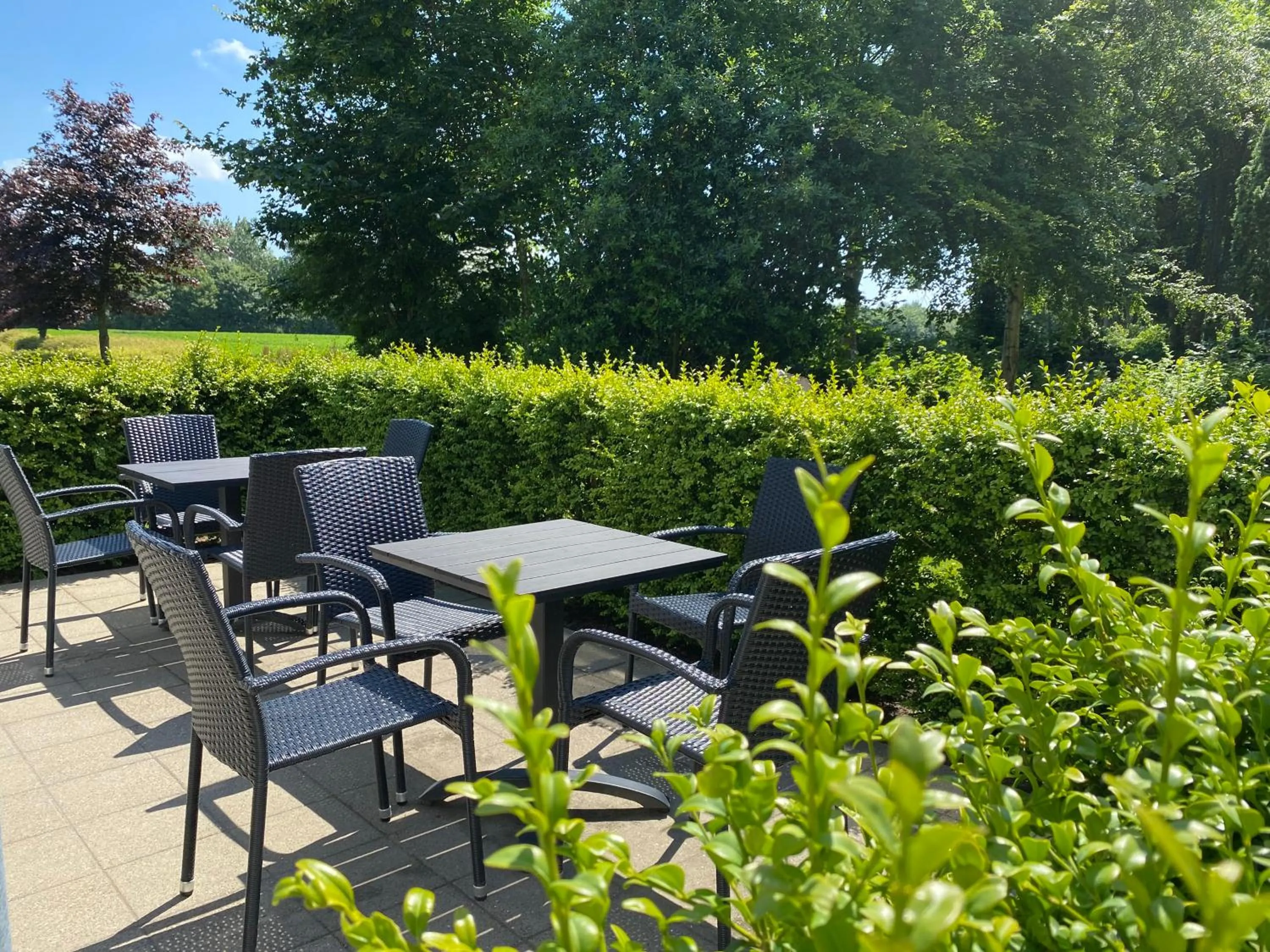 Breakfast in 272 Bed & Breakfast