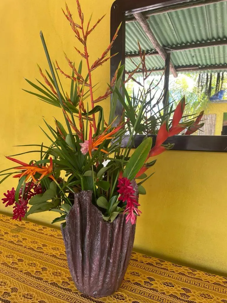 Ilha do Contrato Pousada Sol da Ilha