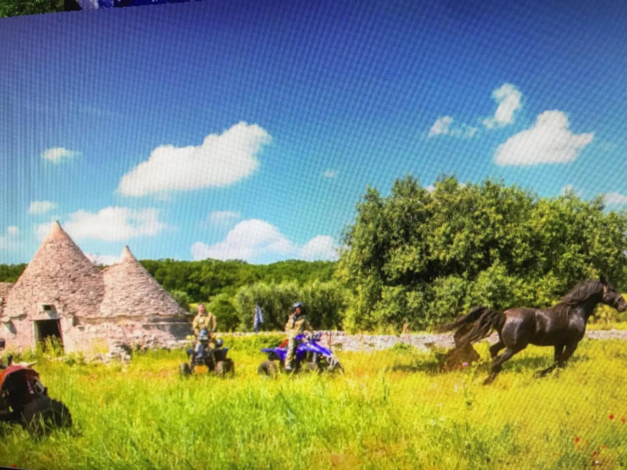 Entertainment in Tipico Resort