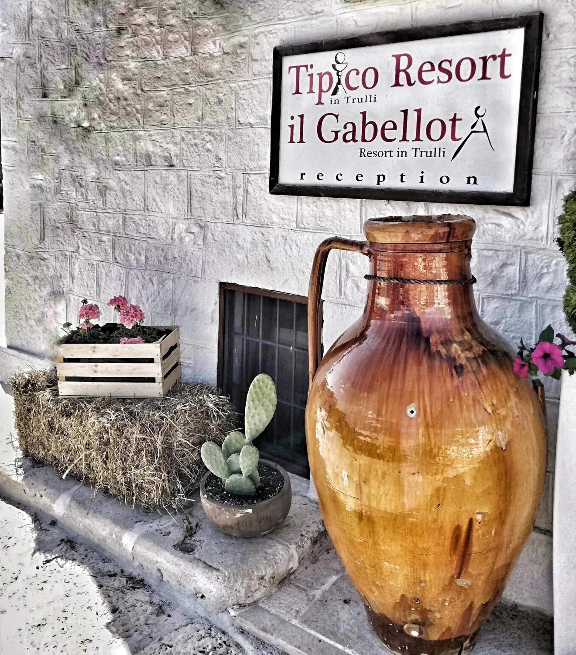 Property logo or sign in Tipico Resort